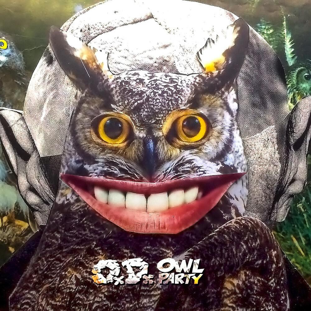 Релиз Owl Party