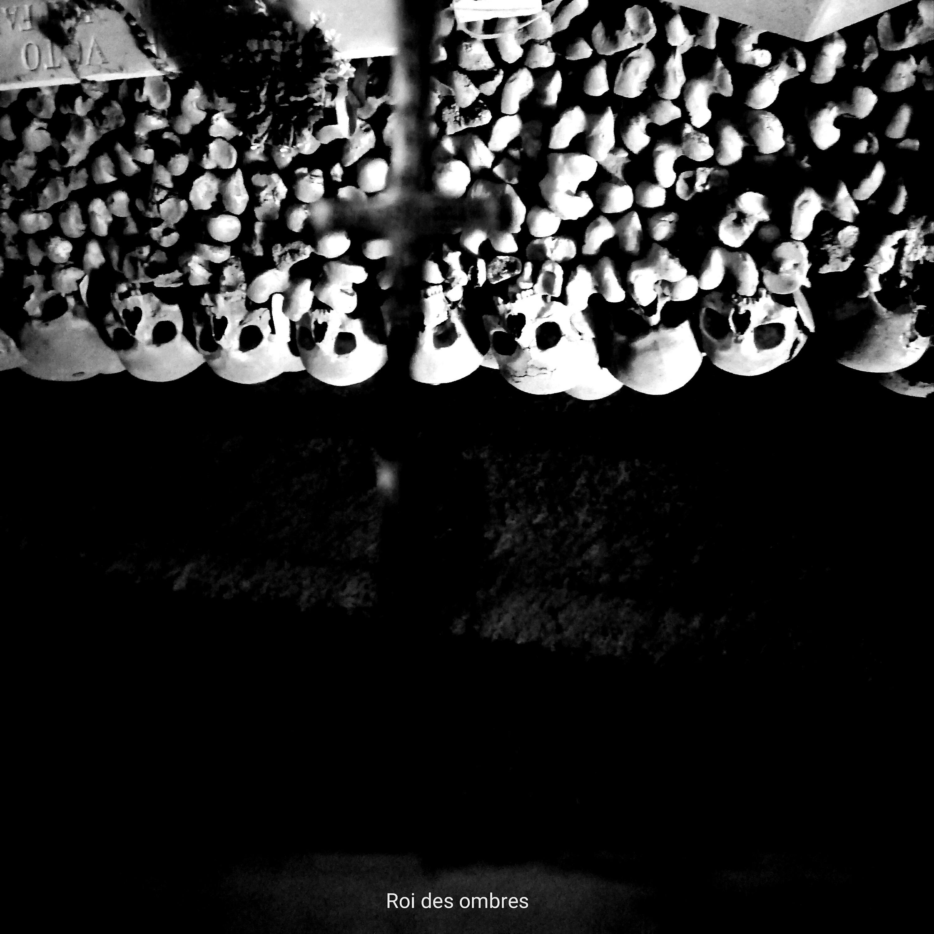 Релиз Roi des ombres