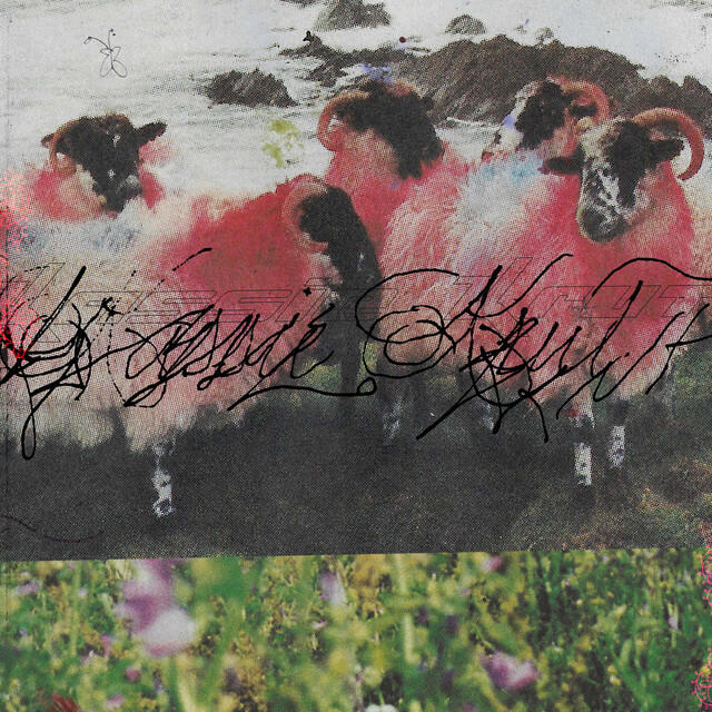 Релиз Hooh Beat (Panda Bear Remix)