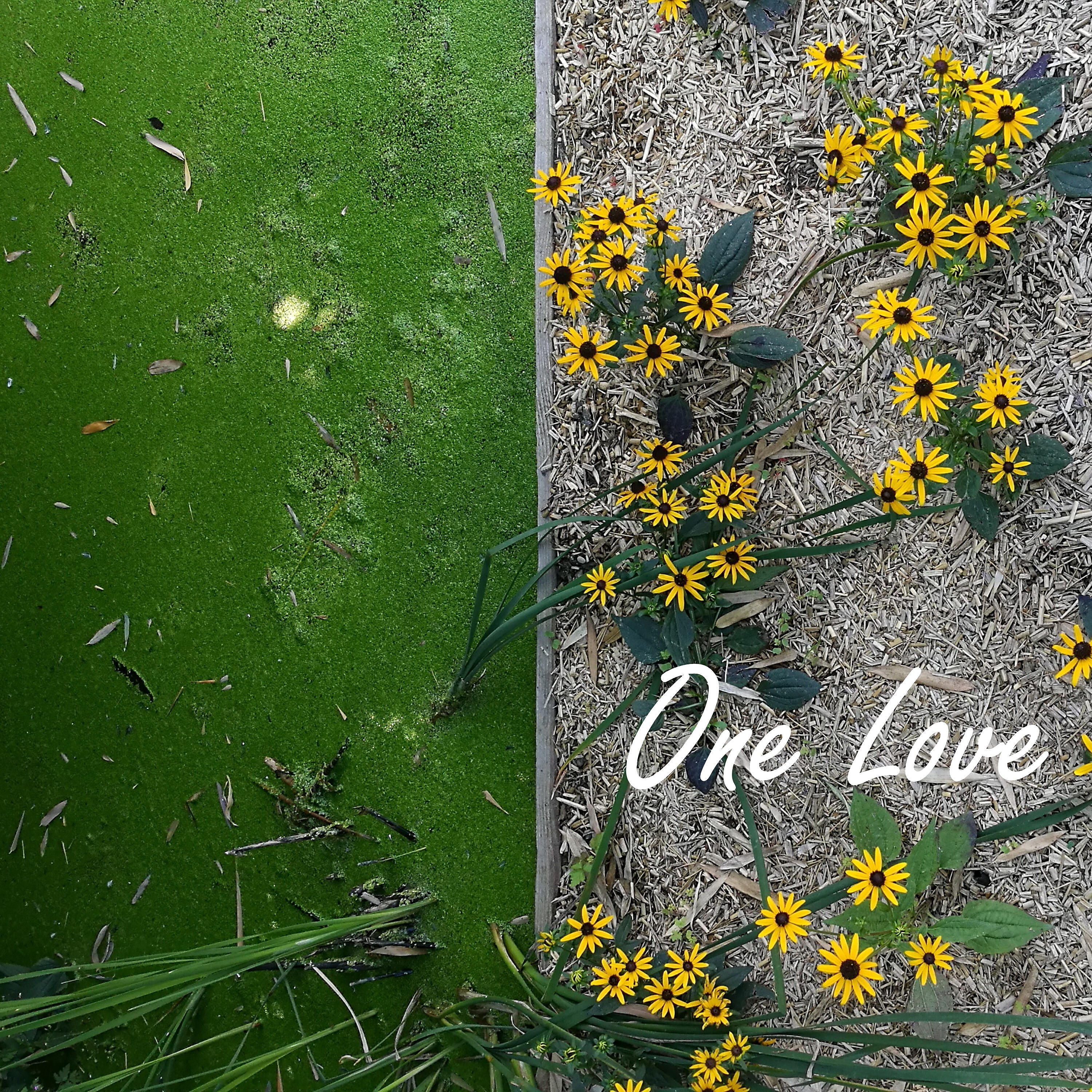Релиз One Love