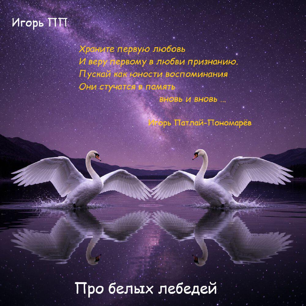 Релиз Про белых лебедей