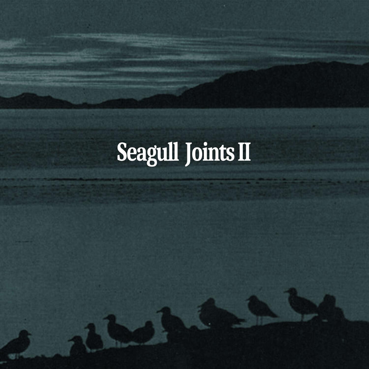 Релиз Seagull Joints II