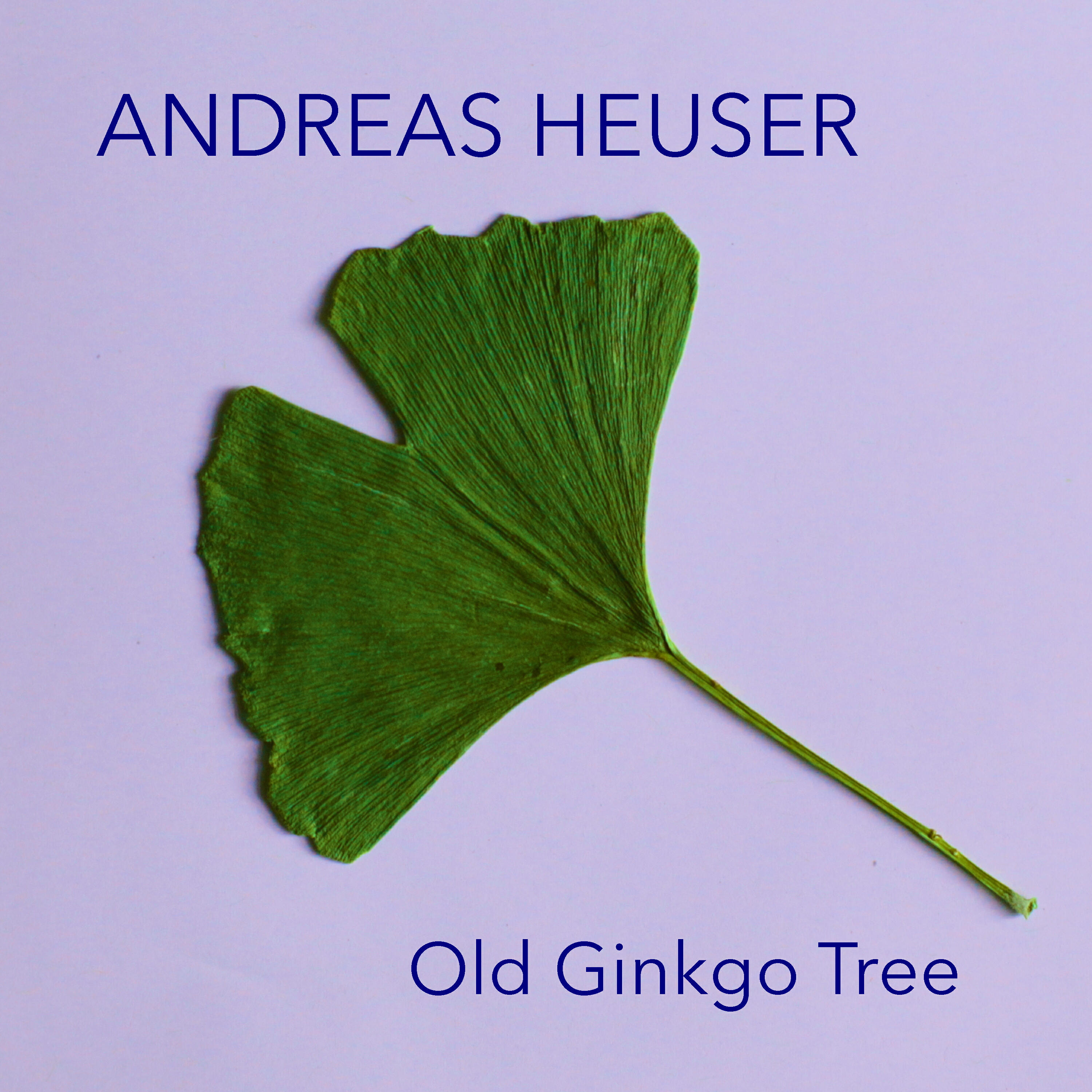 Релиз Old Ginkgo Tree
