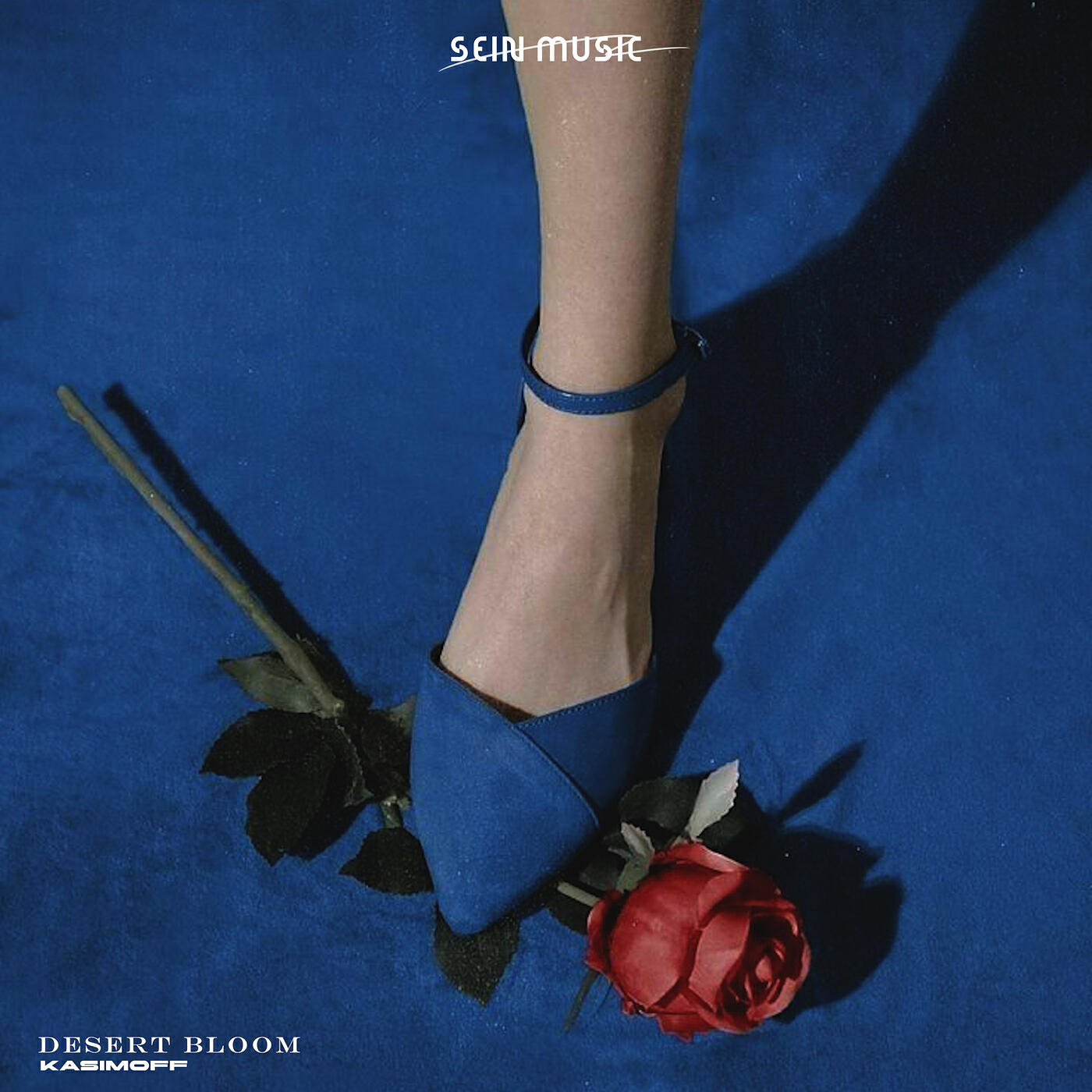Релиз Desert Bloom