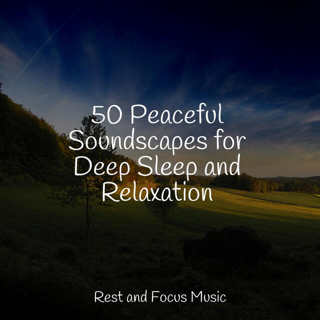 Релиз 50 Peaceful Soundscapes for Deep Sleep and Relaxation