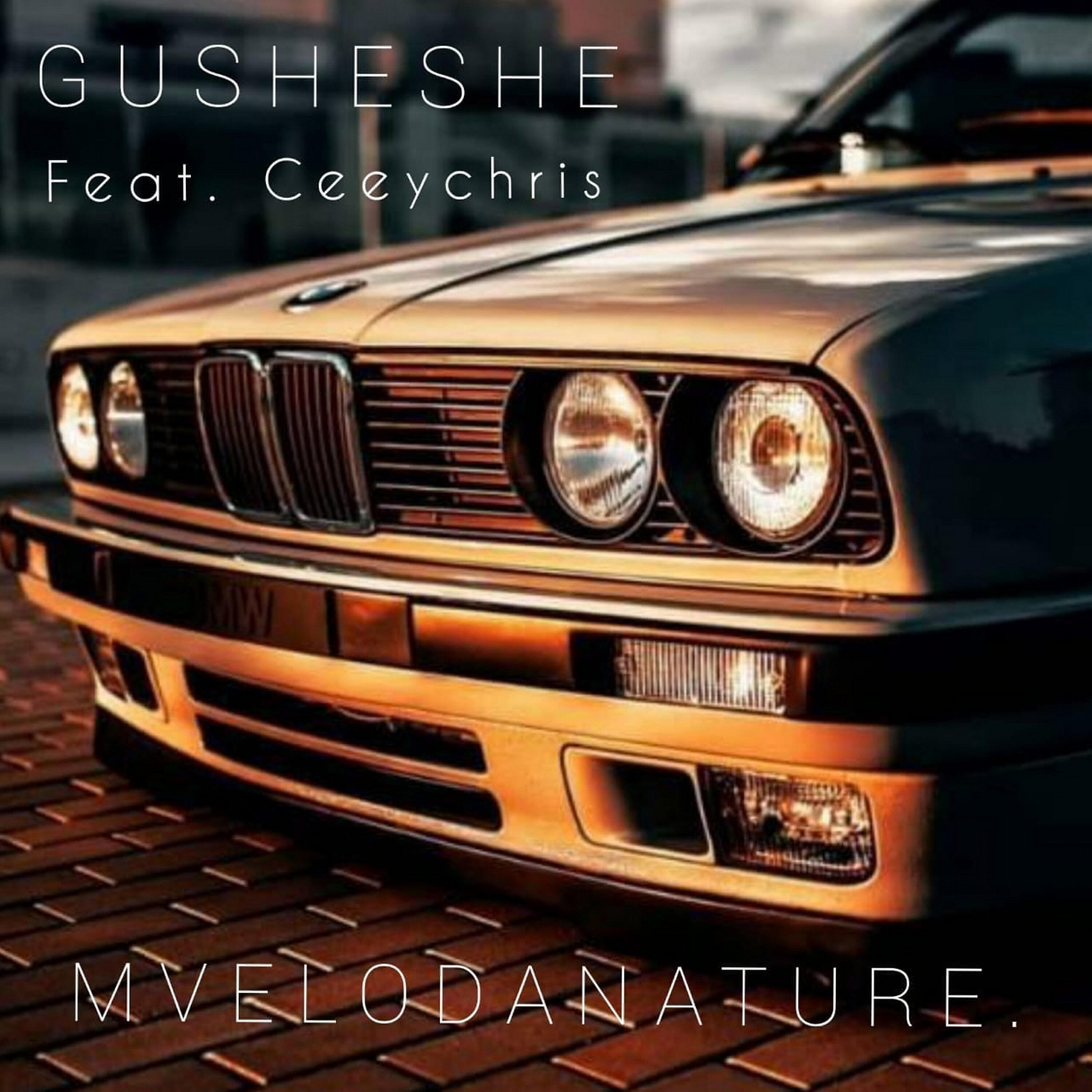 Релиз Gusheshe