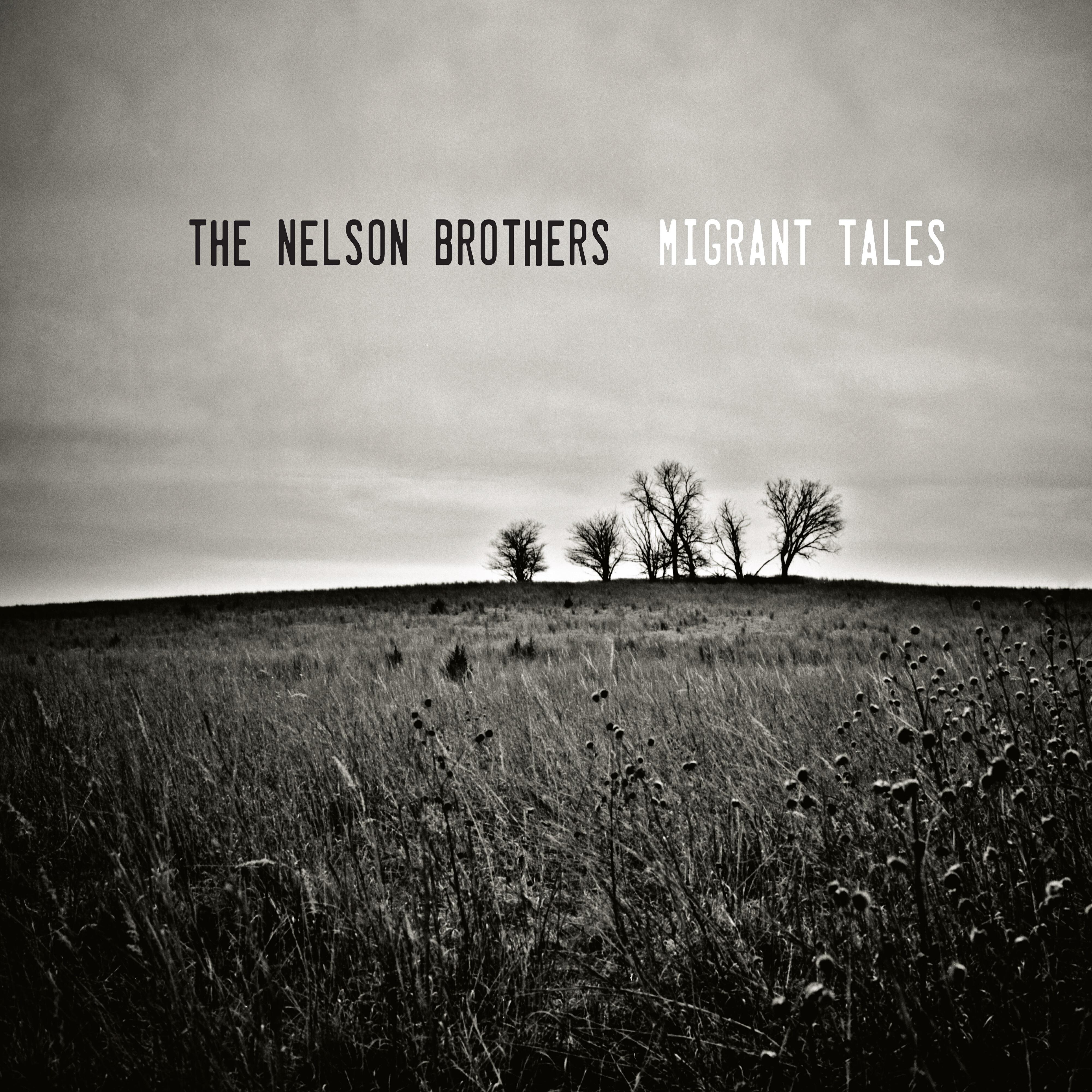 Релиз Migrant Tales