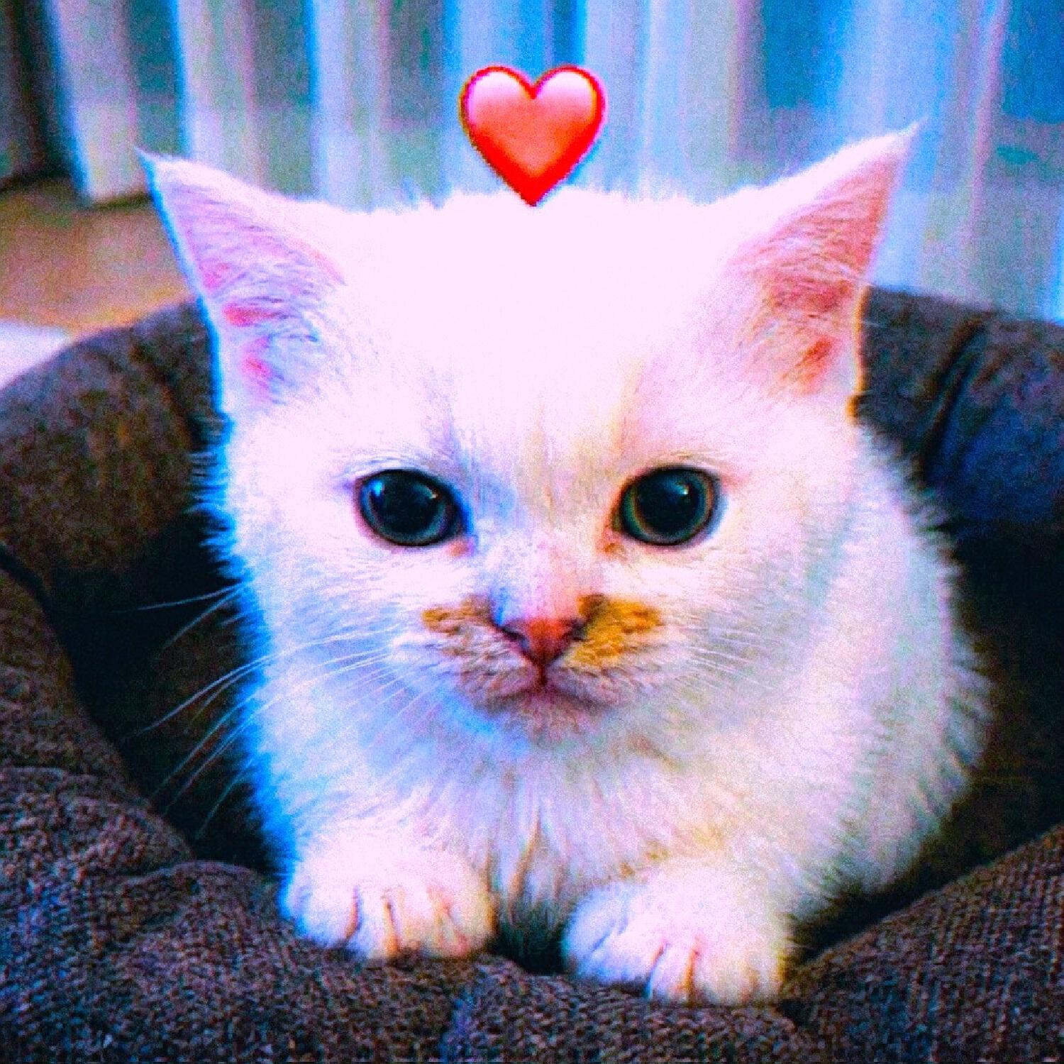 Релиз МАЛО :(