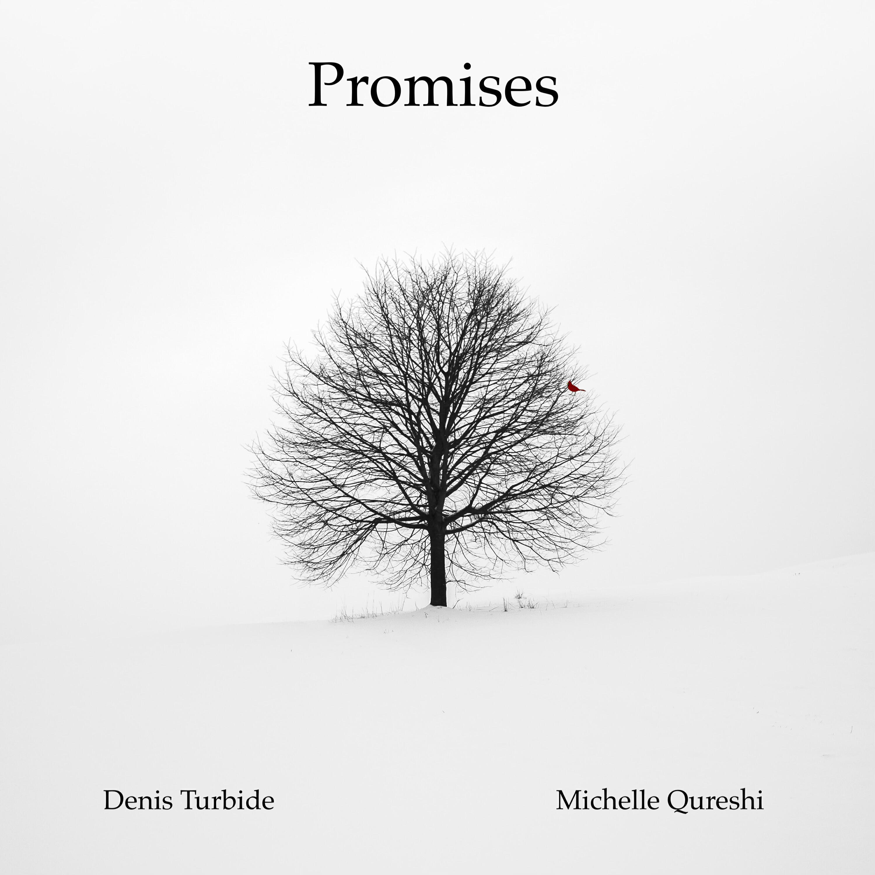 Релиз Promises