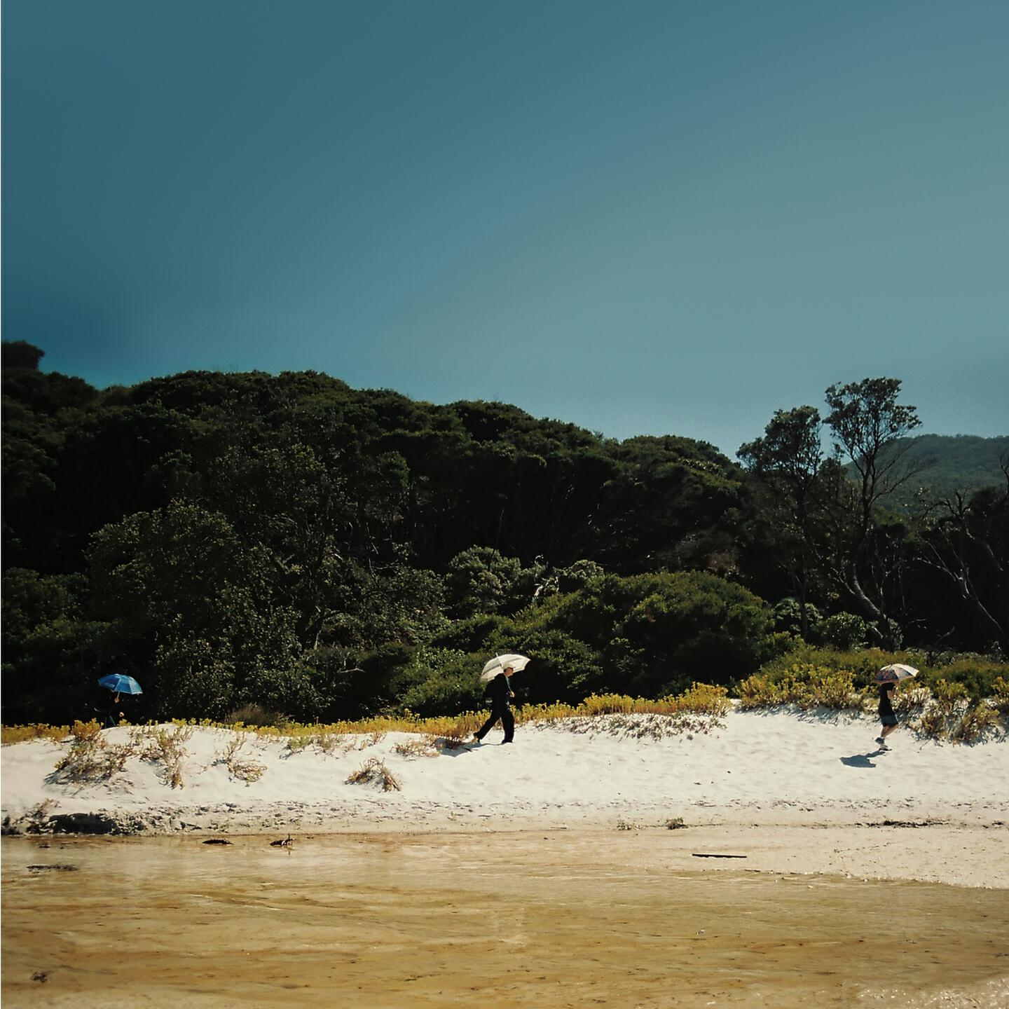 Релиз Tidal River