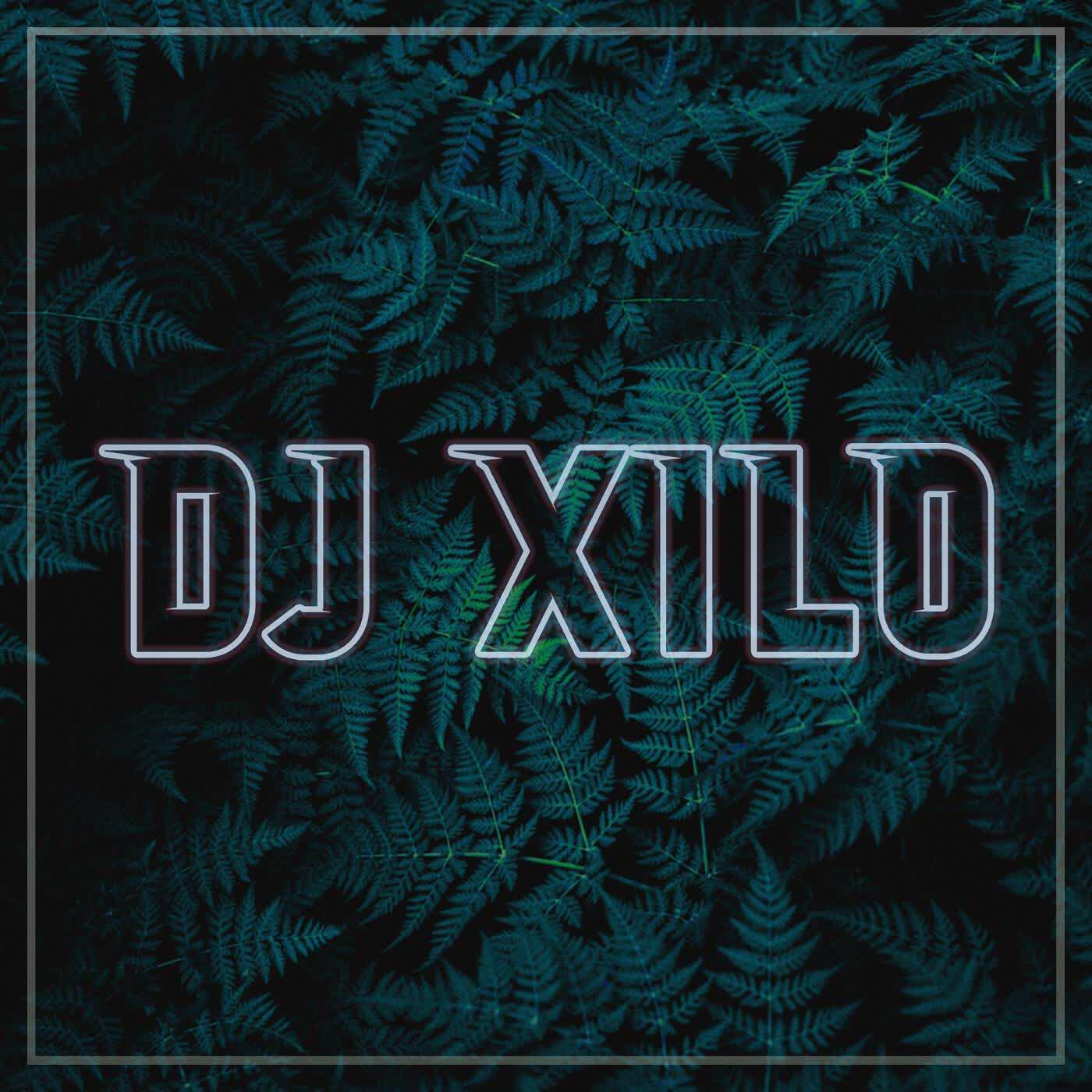 Релиз DJ Maimunah Monster - Inst