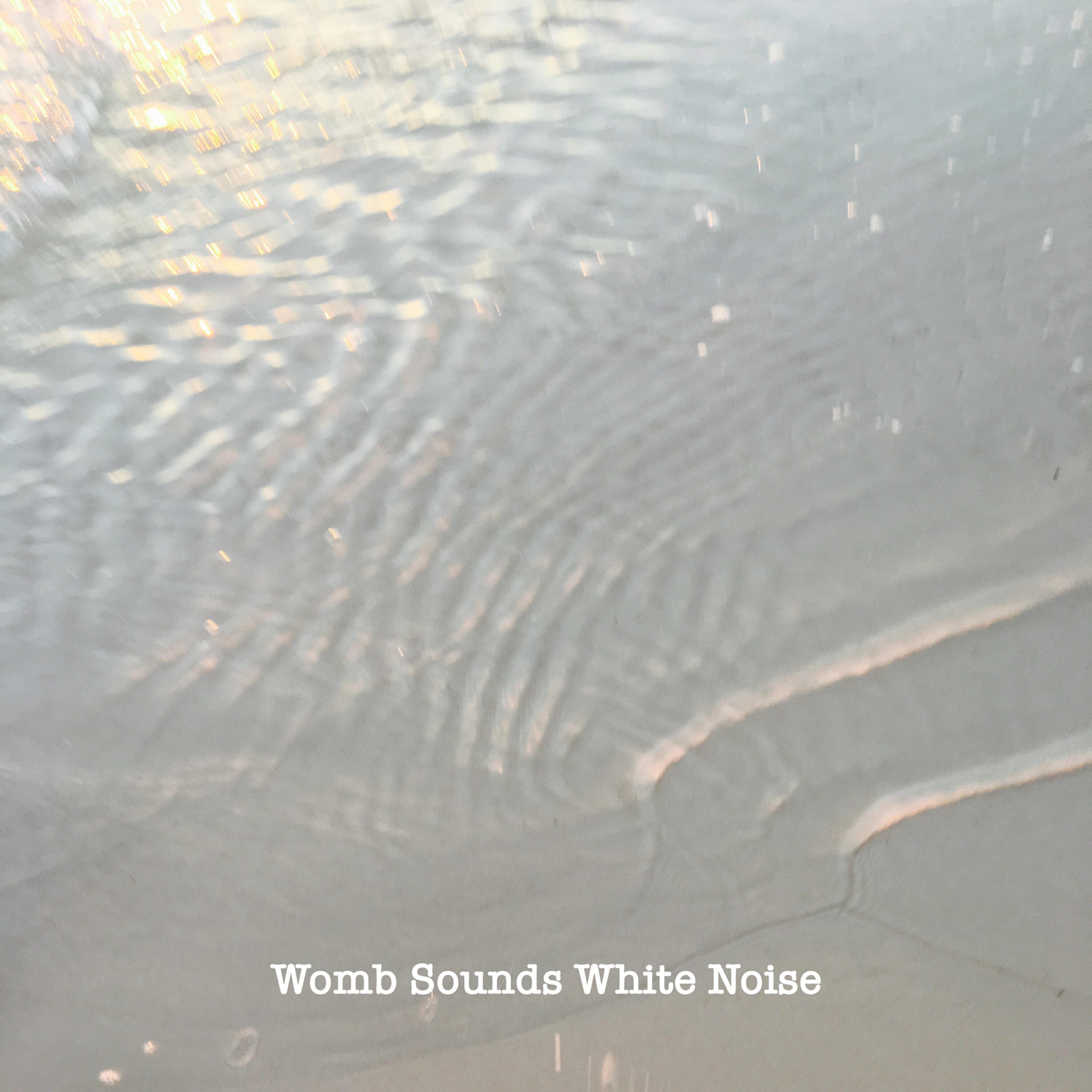 Wombsounds