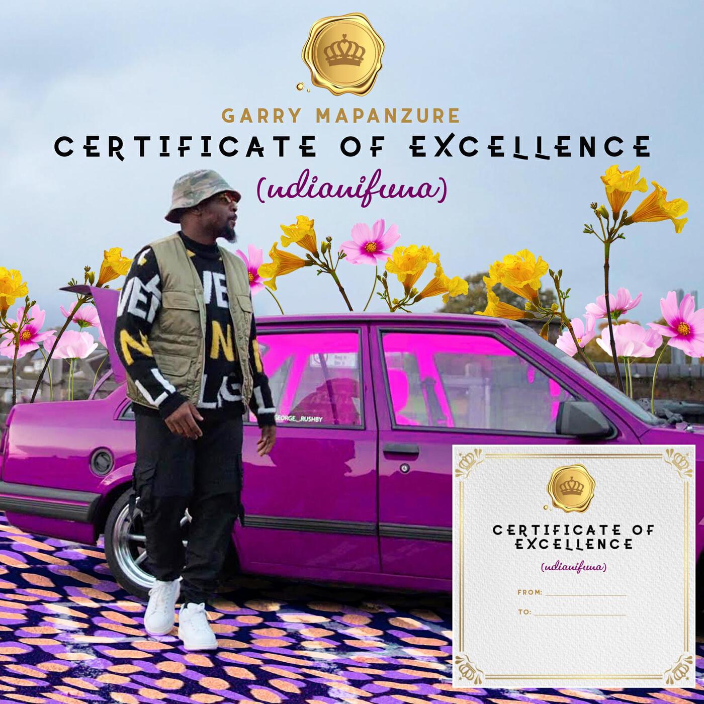 Релиз Certificate of Excellence (Ndianifuna)