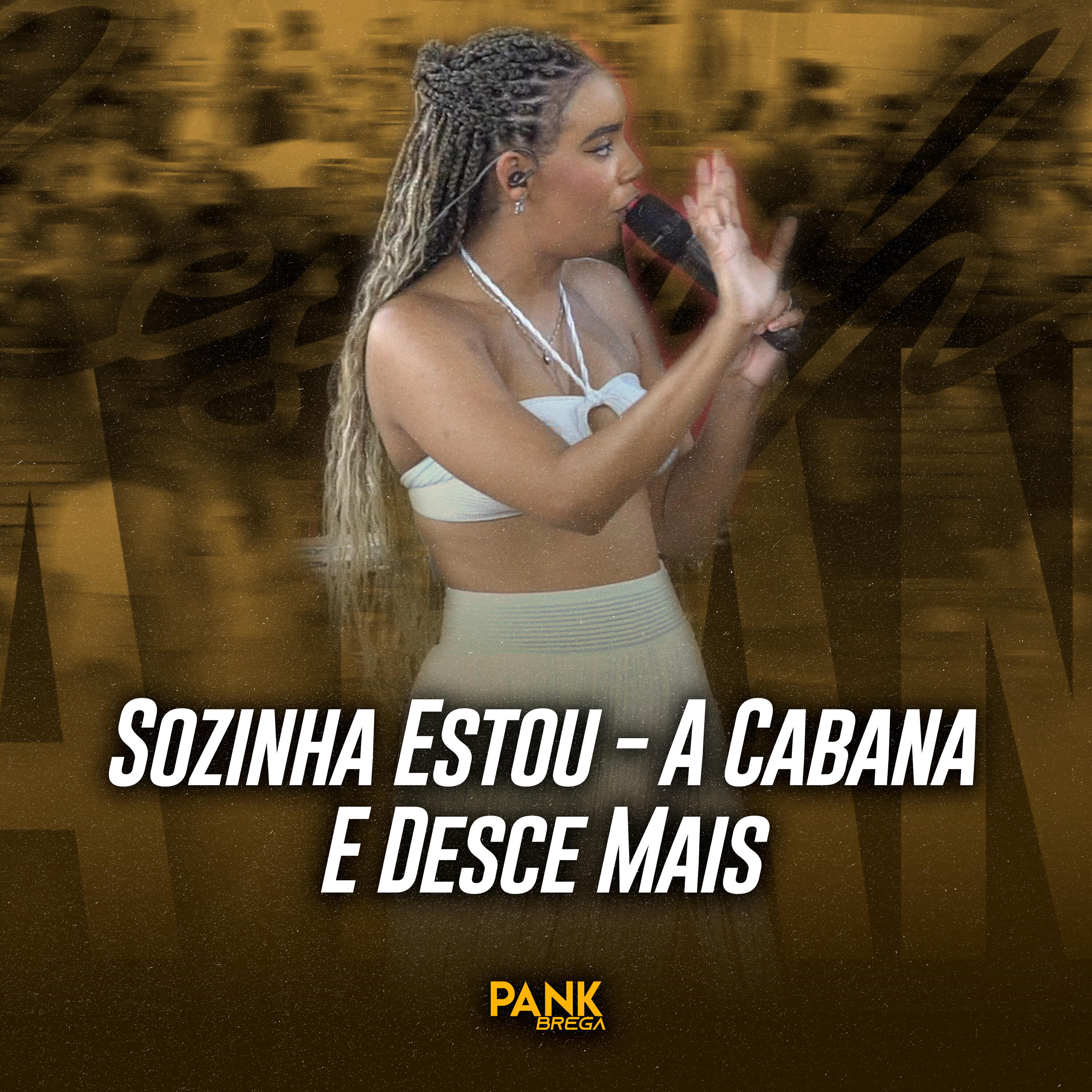 Релиз Sozinha Estou / A Cabana / E Desce Mais