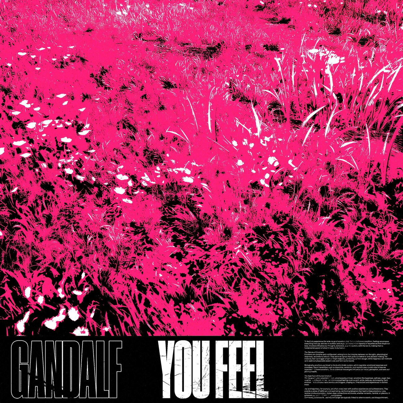 Релиз You Feel