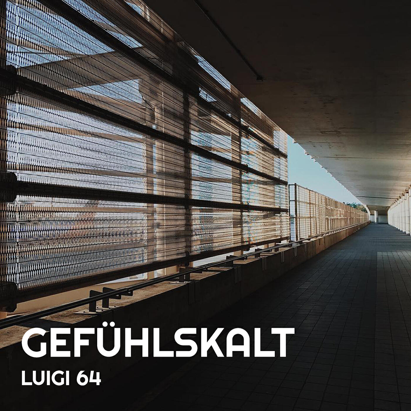 Релиз Gefühlskalt