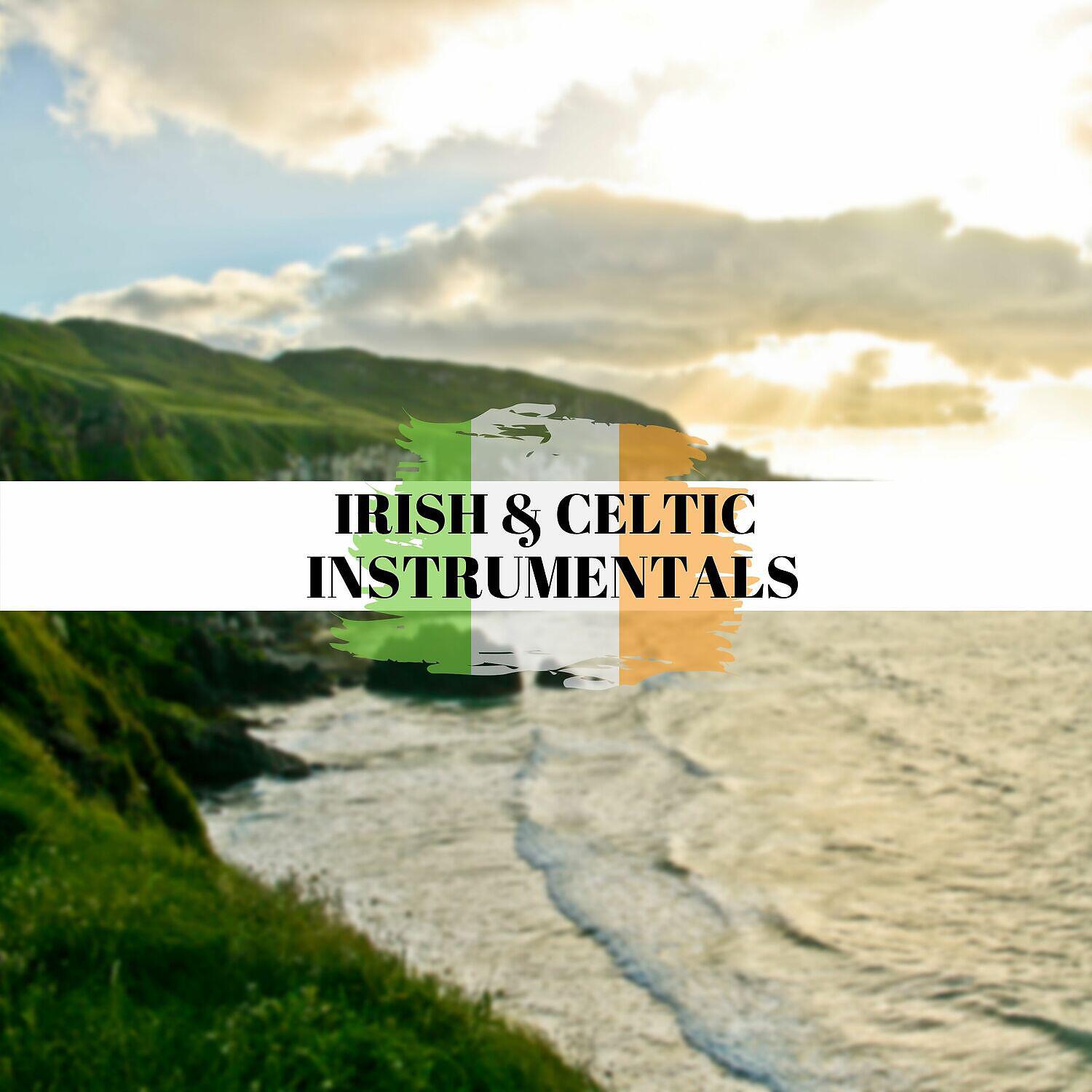Релиз Irish & Celtic Instrumentals