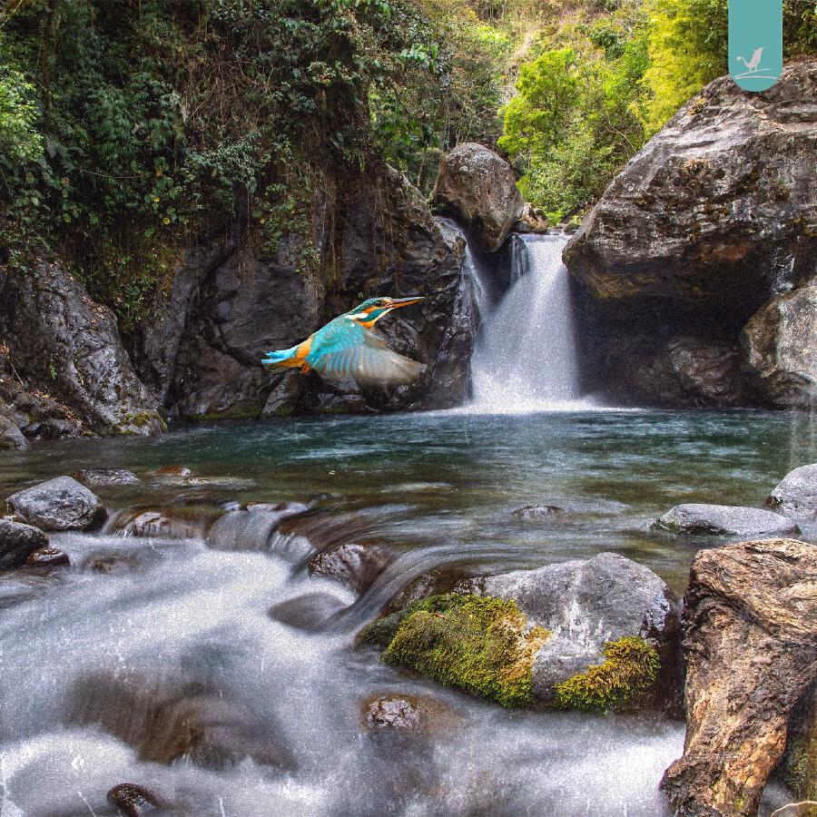 Волна по релизу