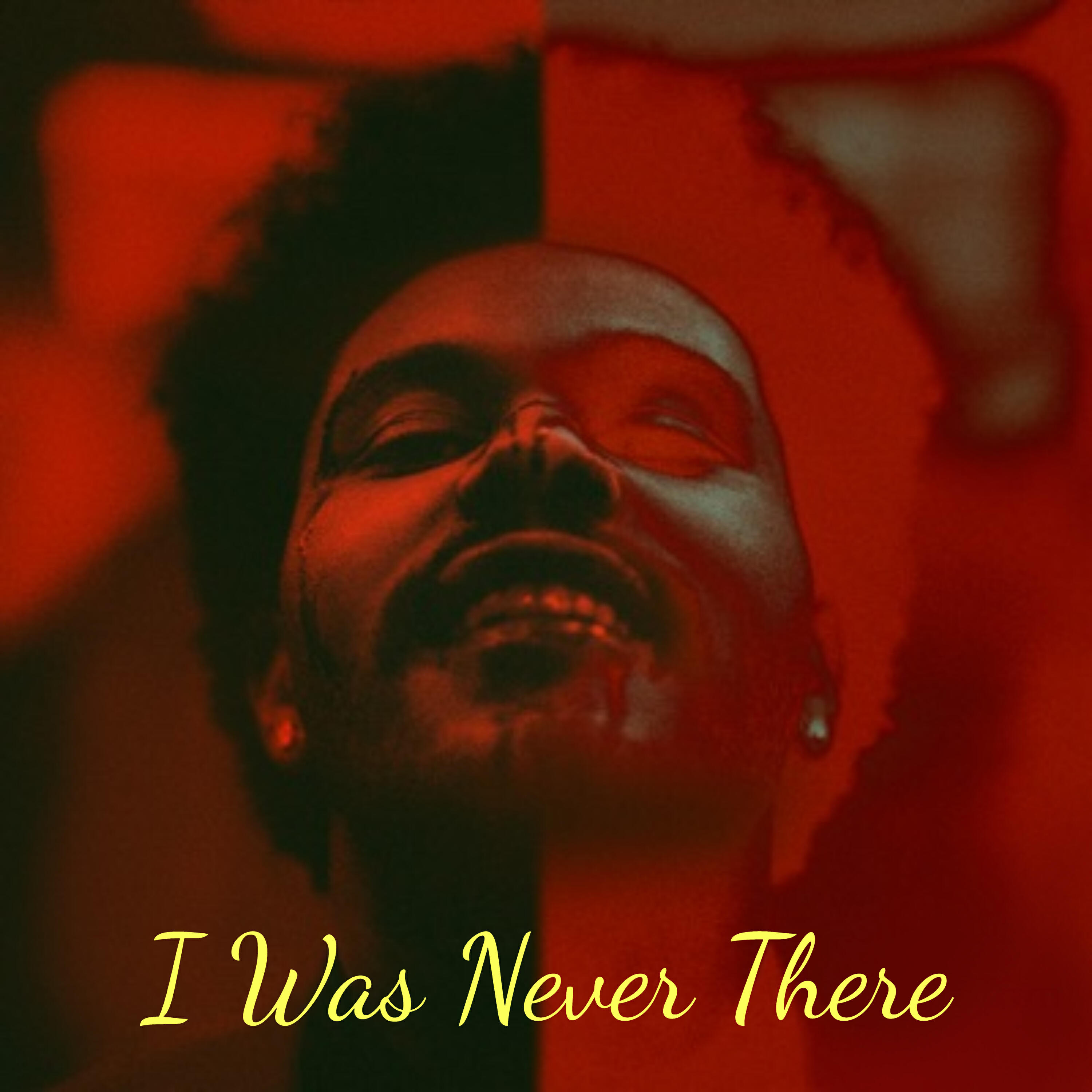 Постер альбома I Was Never There