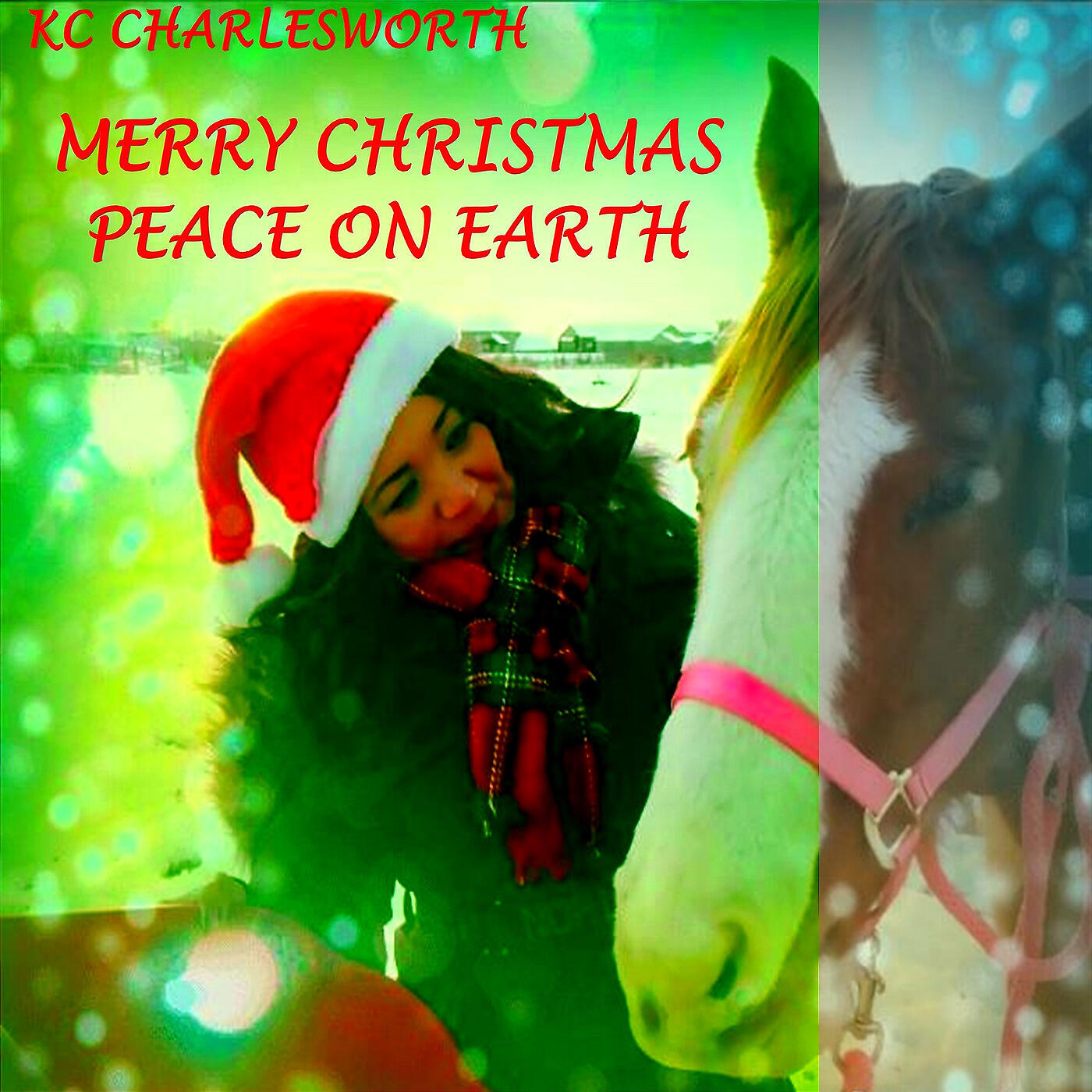 Релиз Merry Christmas Peace on Earth