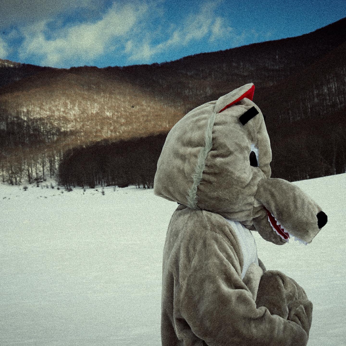 Релиз Come un animale