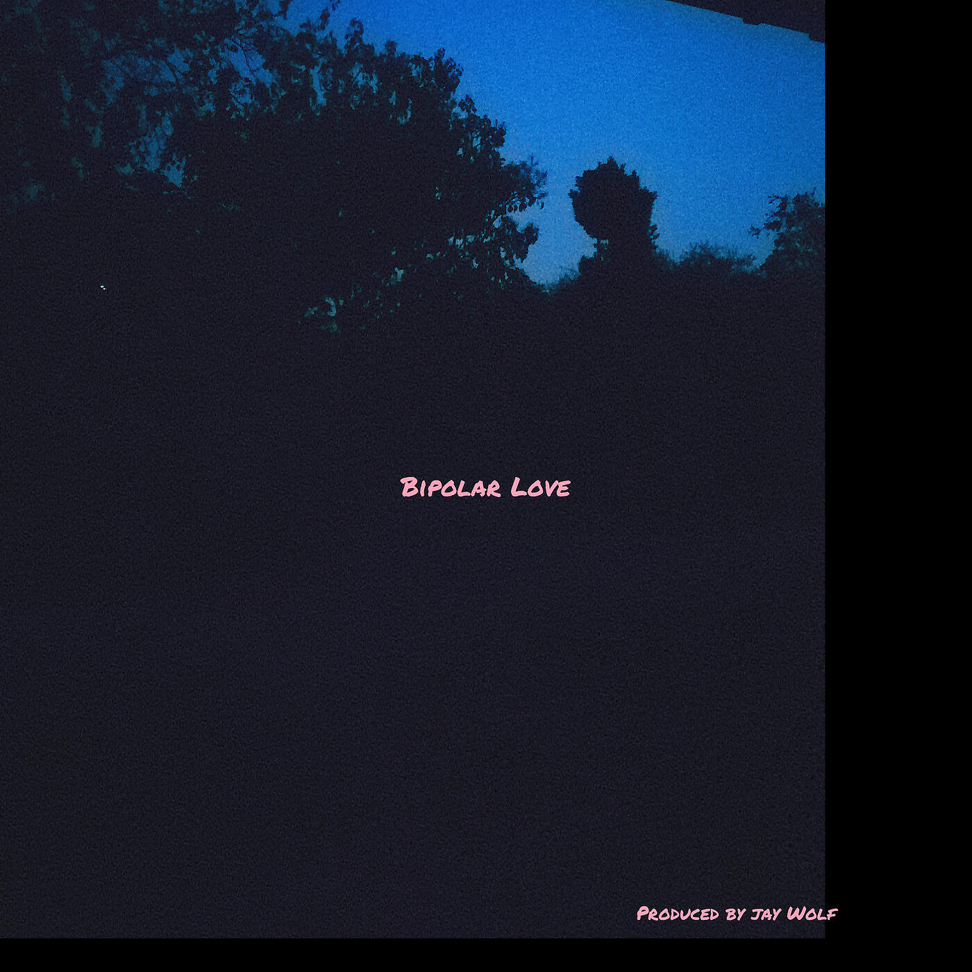 Релиз Bipolar Love