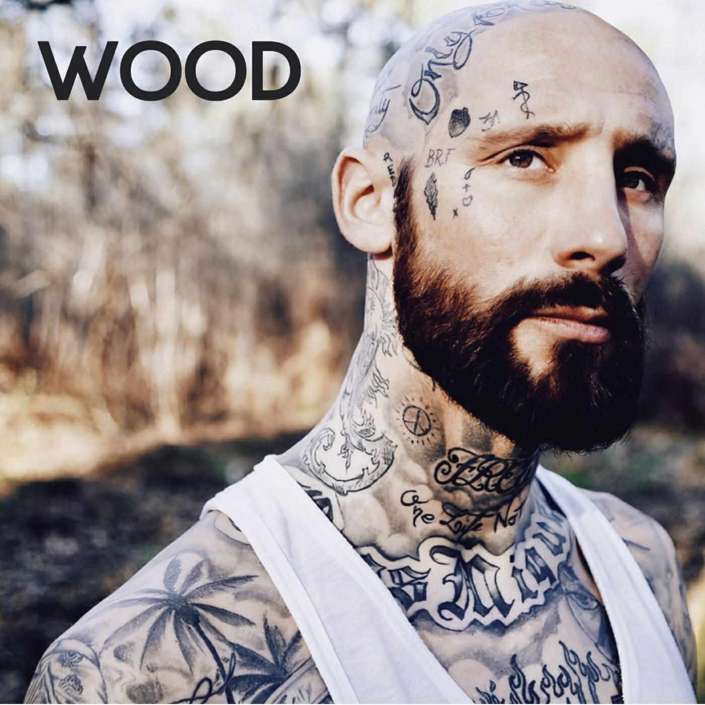 Постер альбома WOOD