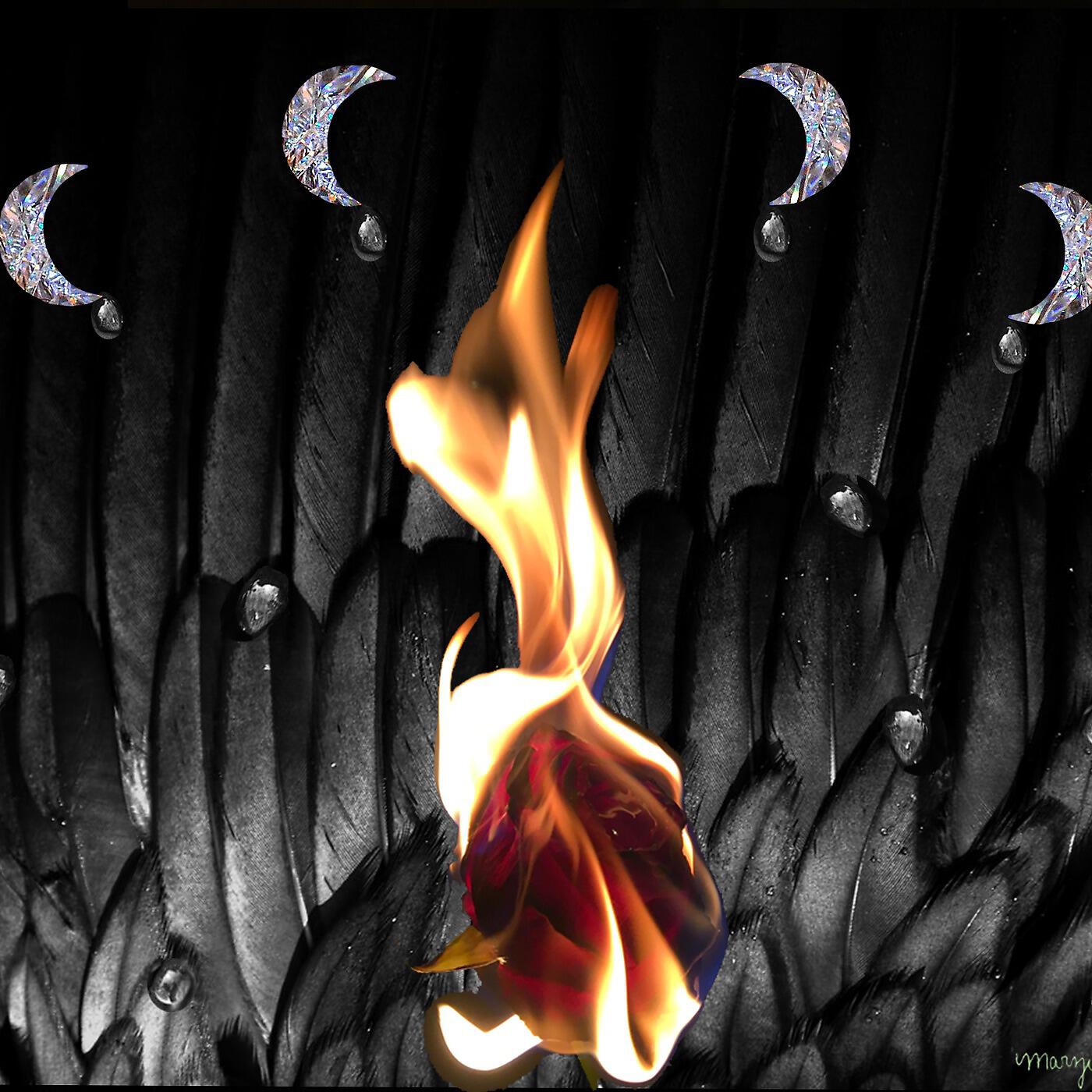 Релиз Flaws of a Feather
