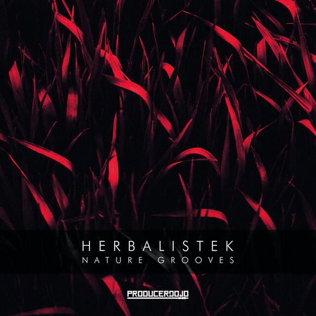 Релиз Nature Grooves