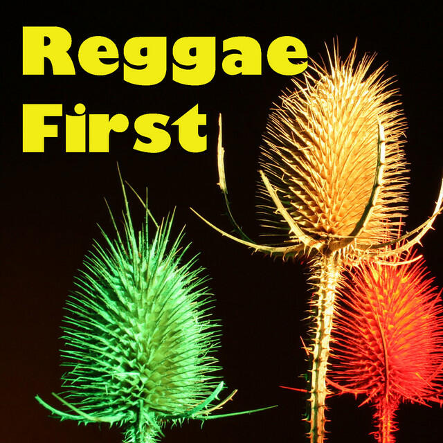 Релиз Reggae First