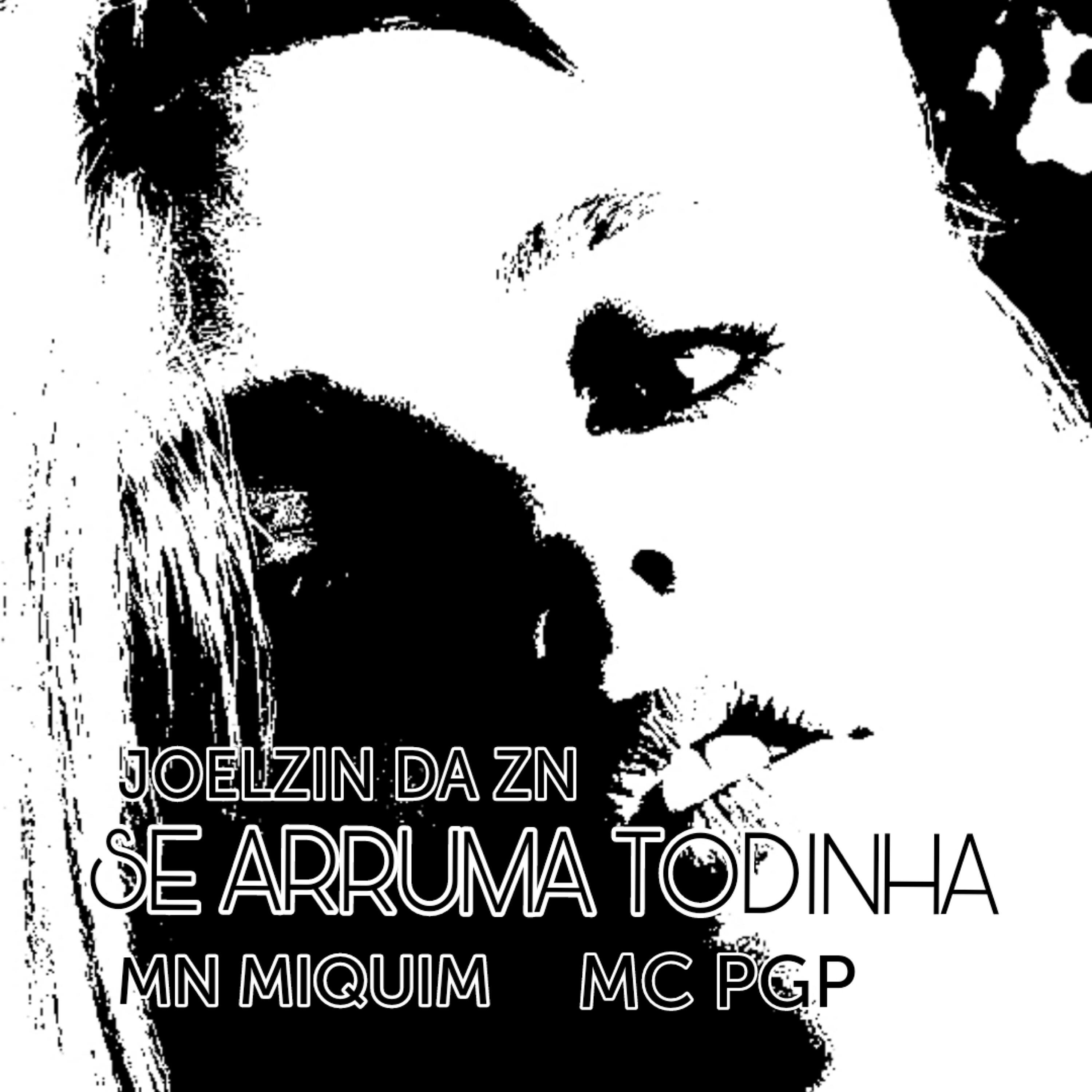 Релиз Se Arruma Todinha