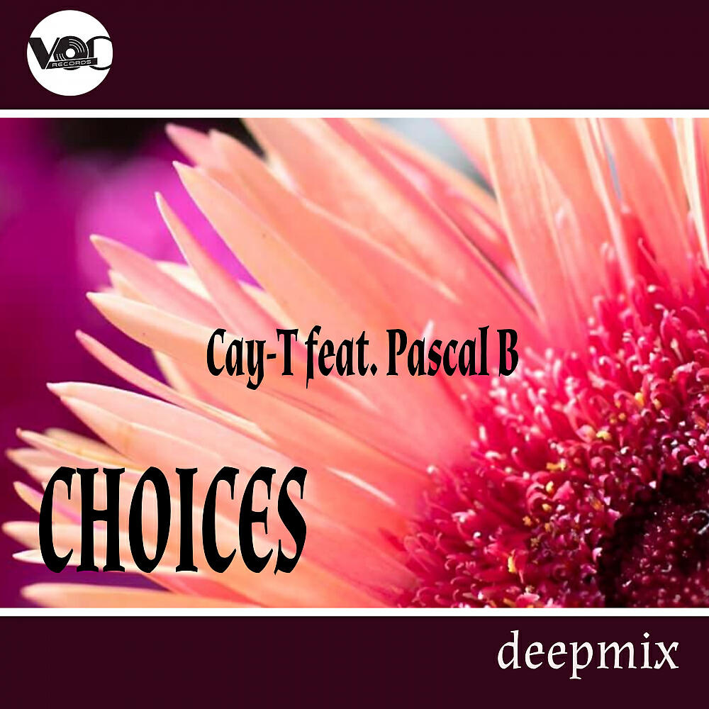 Релиз Choices
