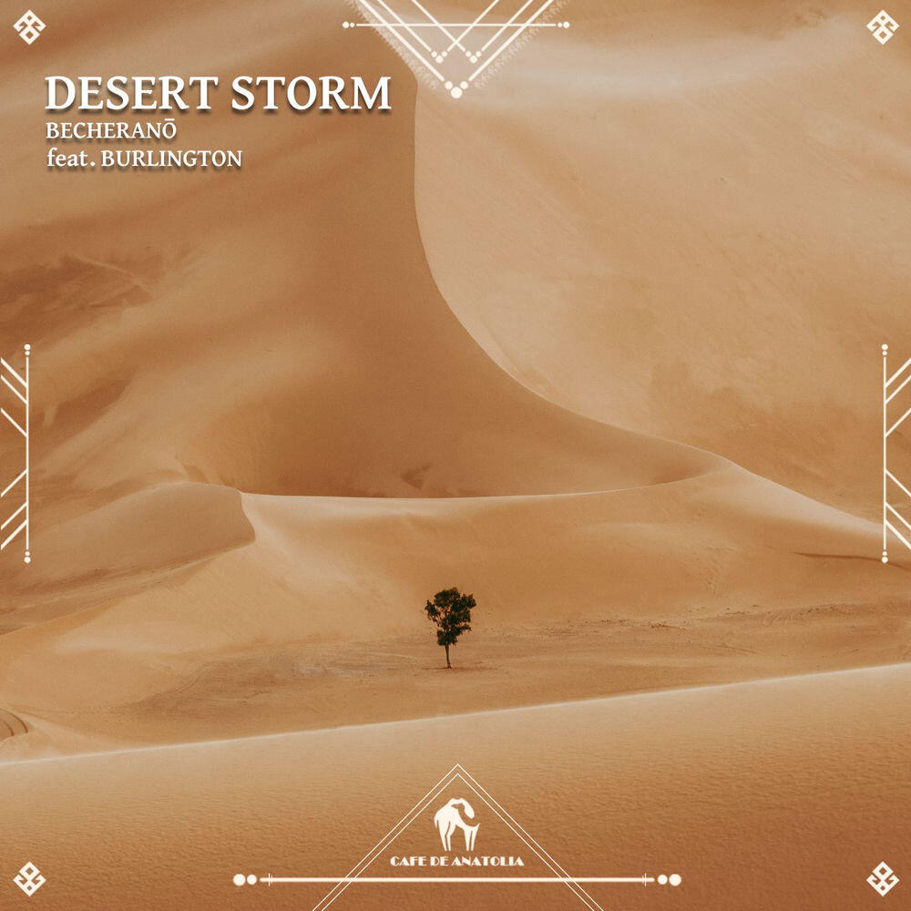 Релиз Desert Storm