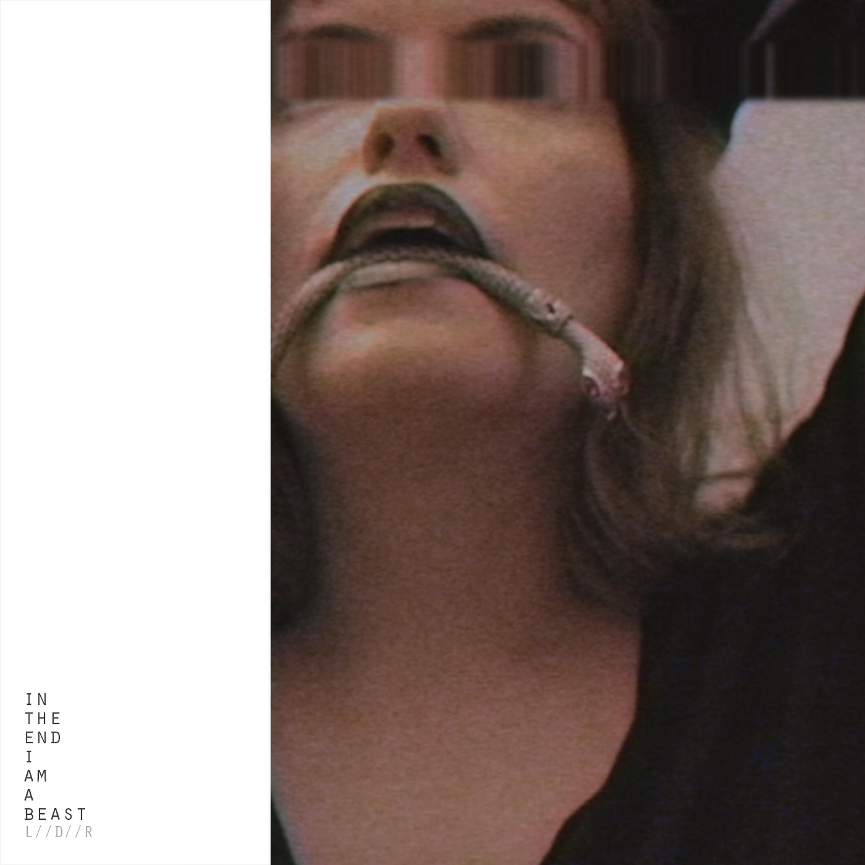 Релиз In the End I Am a Beast