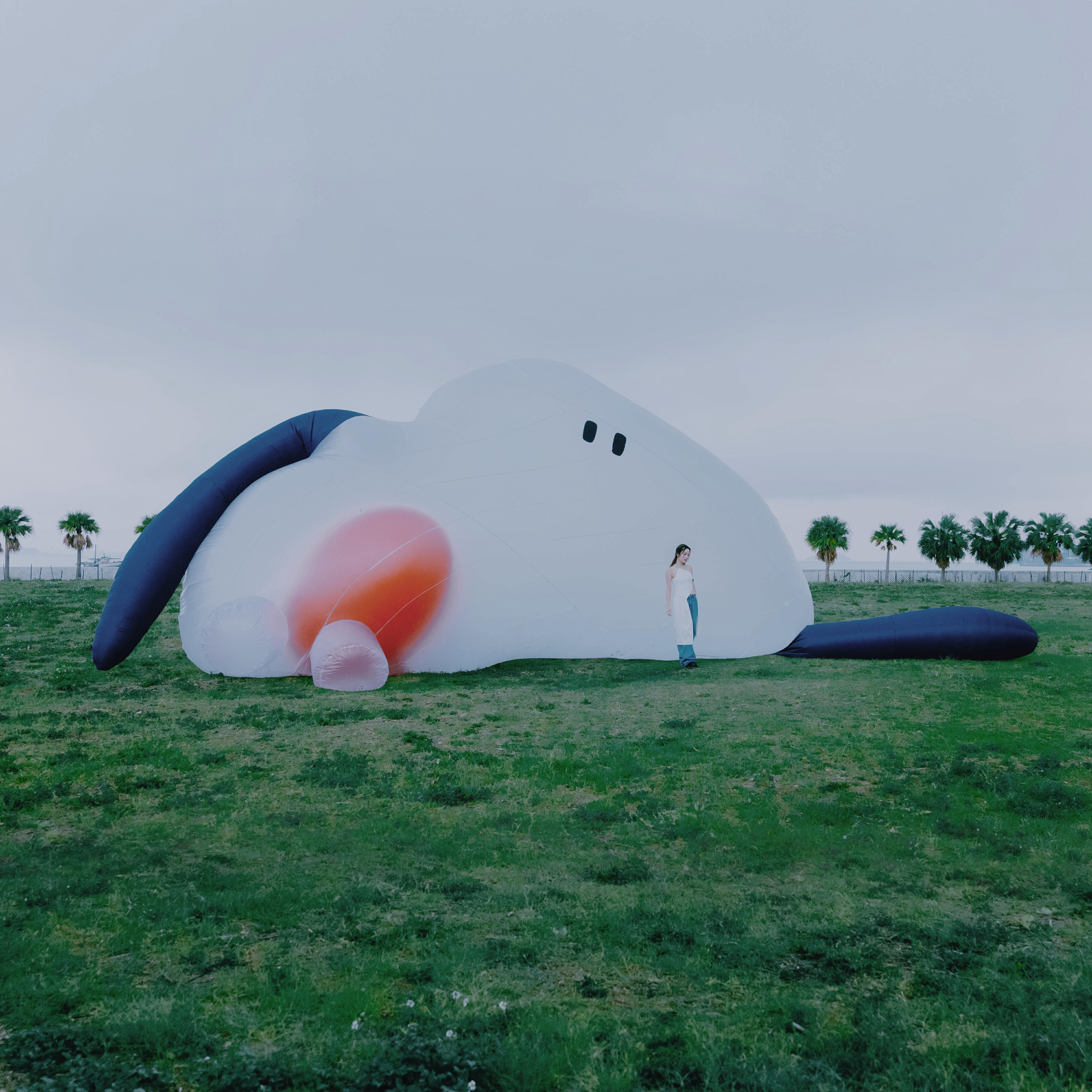 Релиз Is love enough?