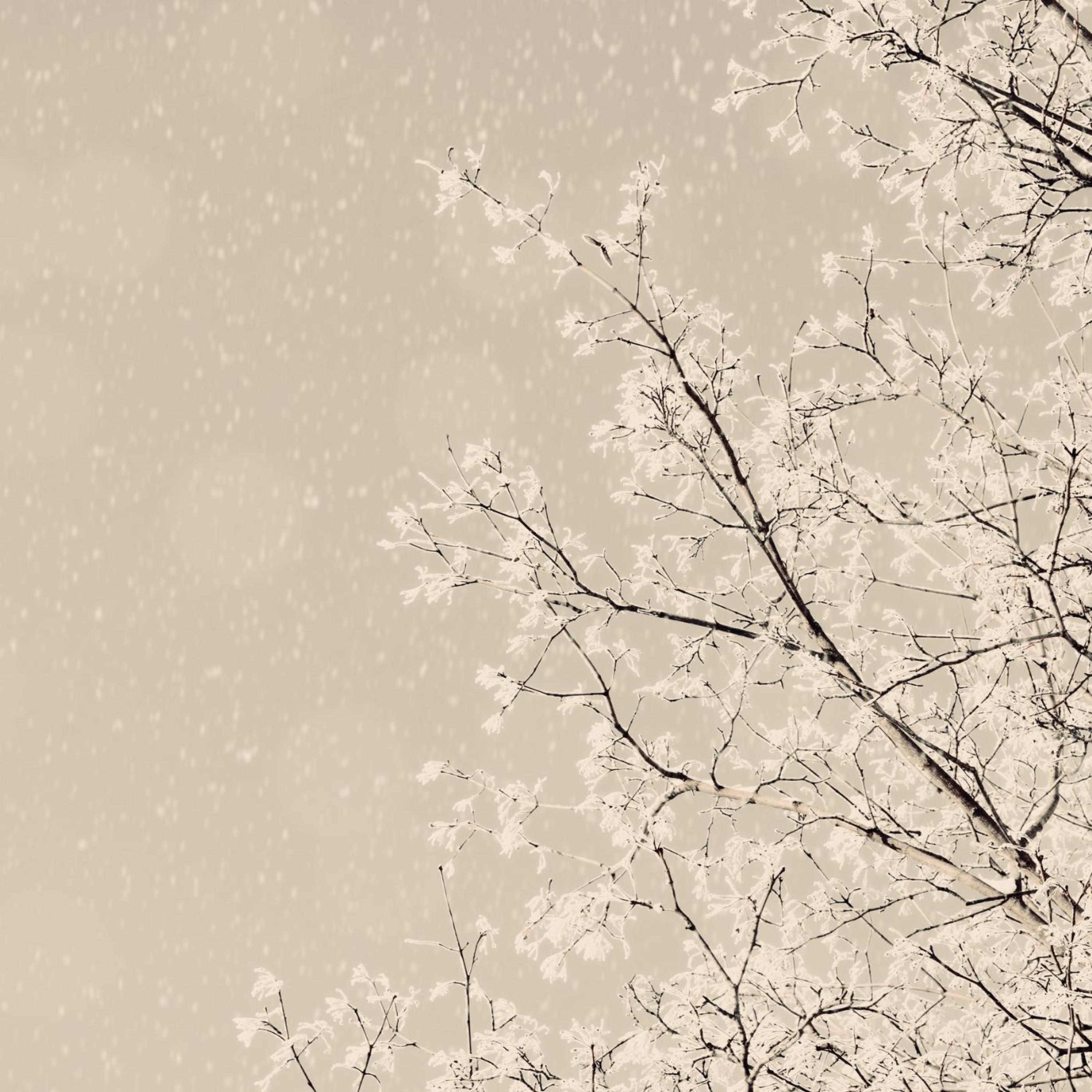Релиз In The Bleak Midwinter Arr. For Solo Piano