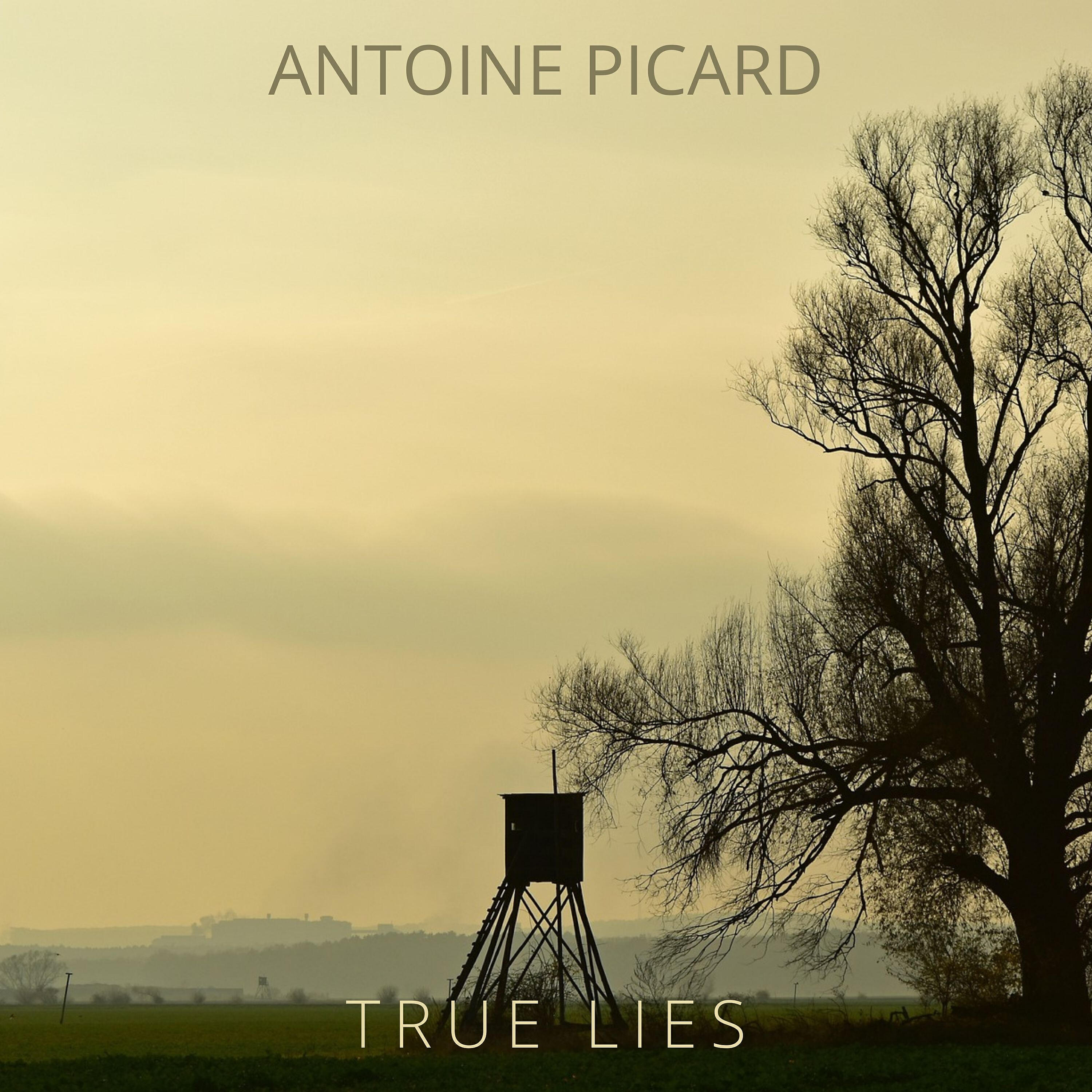 Релиз True Lies