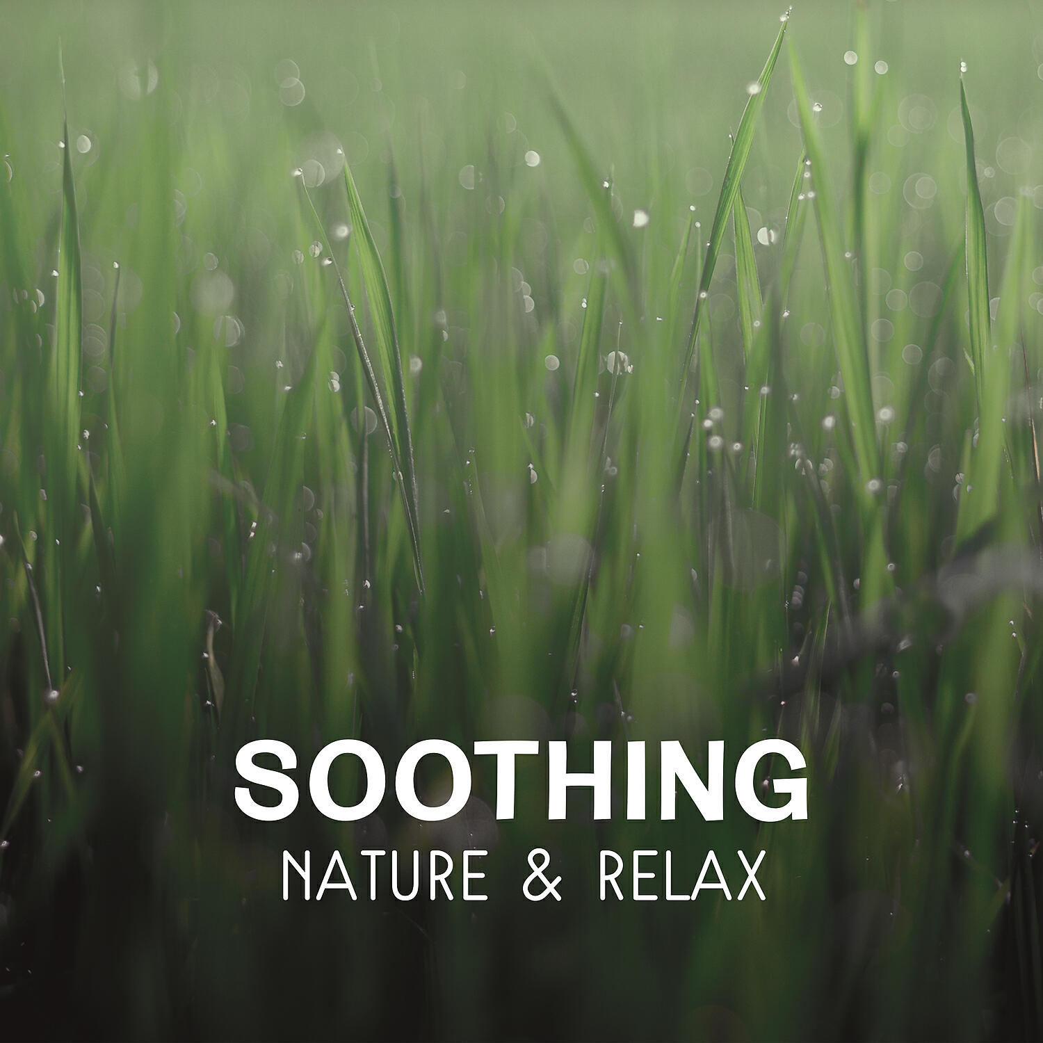 Релиз Soothing Nature & Relax – Energy Flow, Mental Inspiration, Healing Yoga Zen and Chakra Balancing