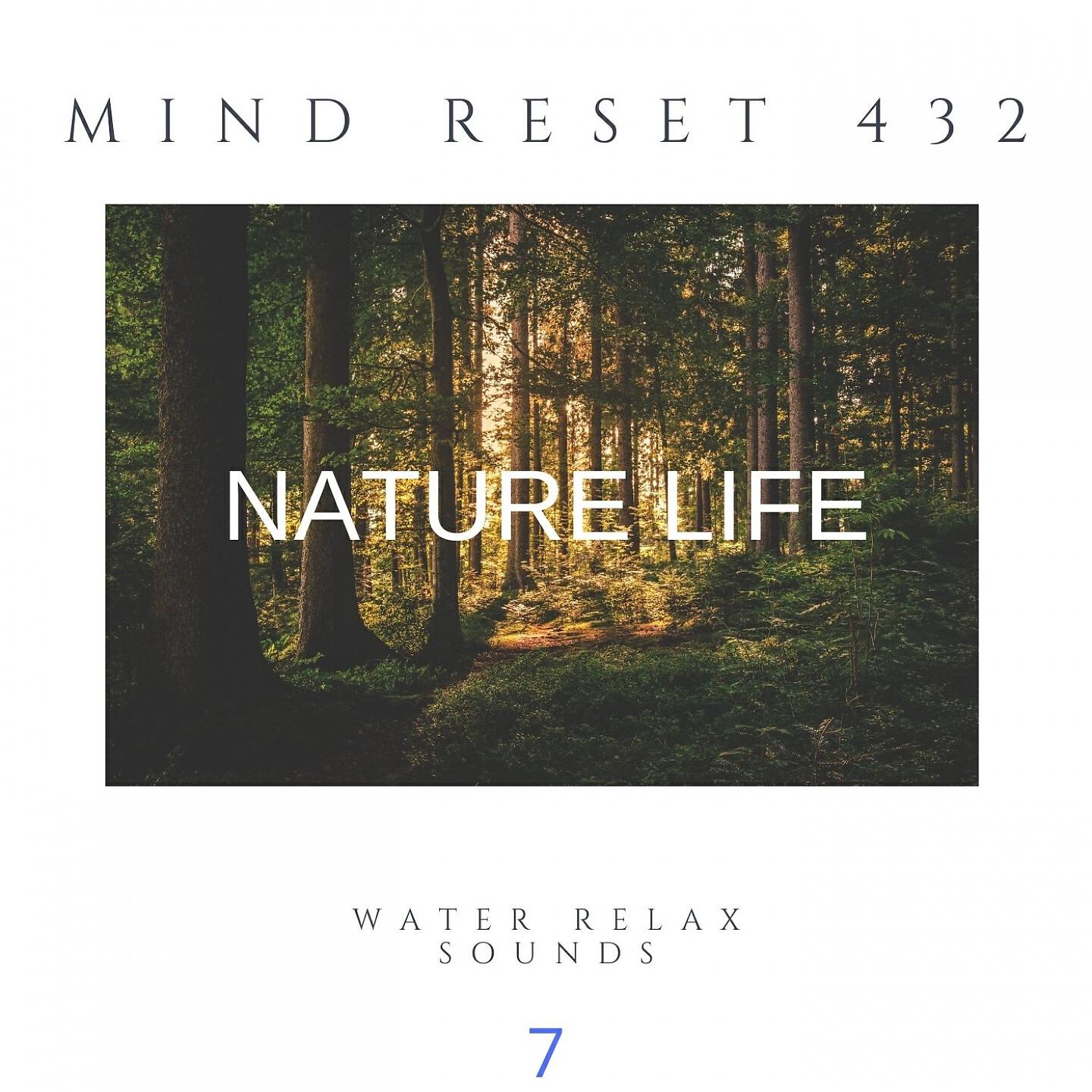 Релиз Nature Life