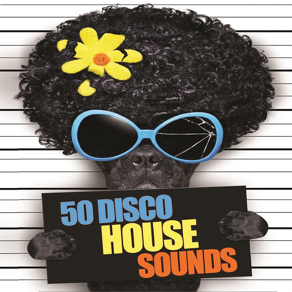 Релиз 50 Disco House Sounds