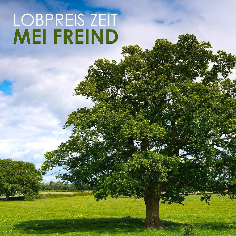 Релиз Mei Freind