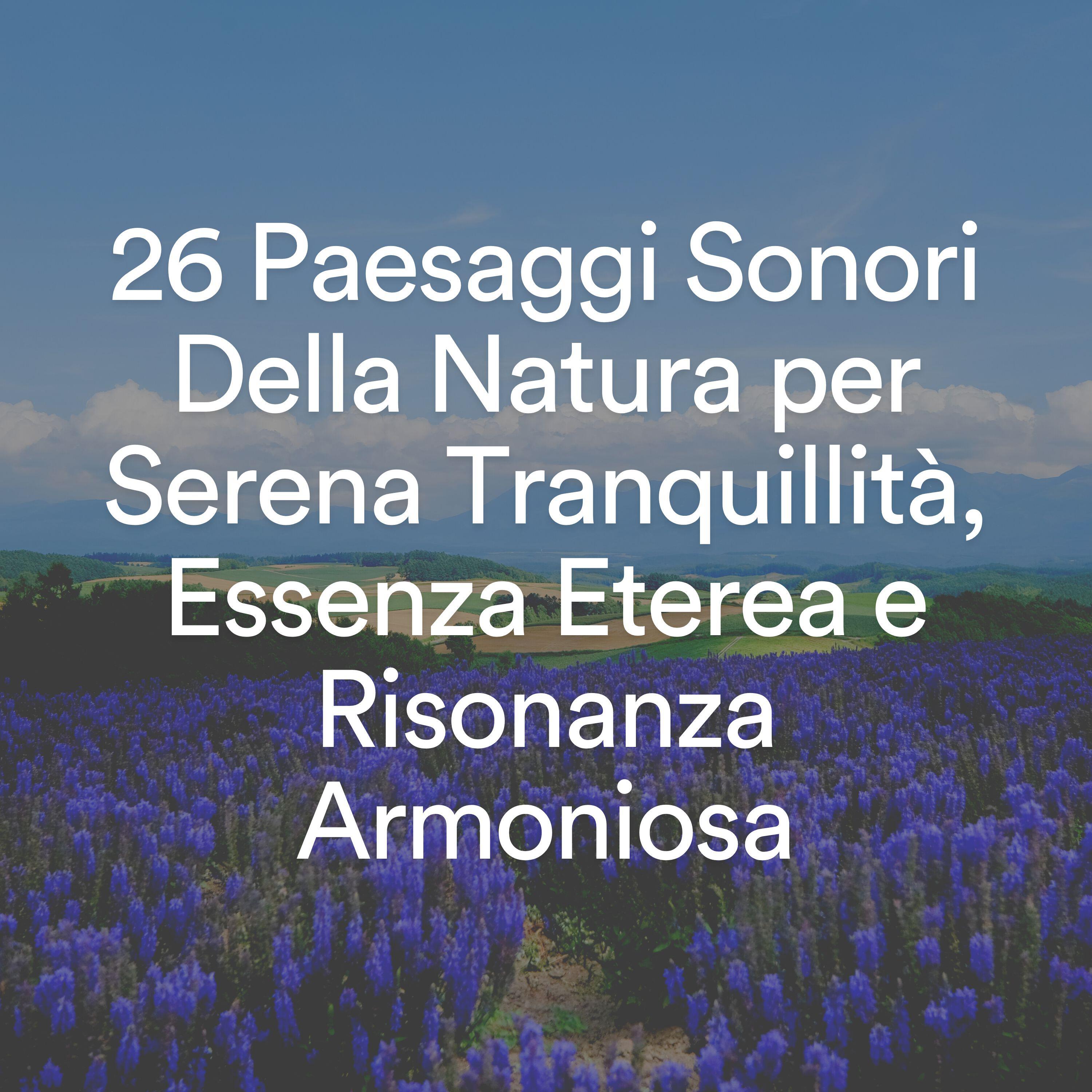 Релиз 26 Paesaggi Sonori Della Natura per Serena Tranquillità, Essenza Eterea e Risonanza Armoniosa