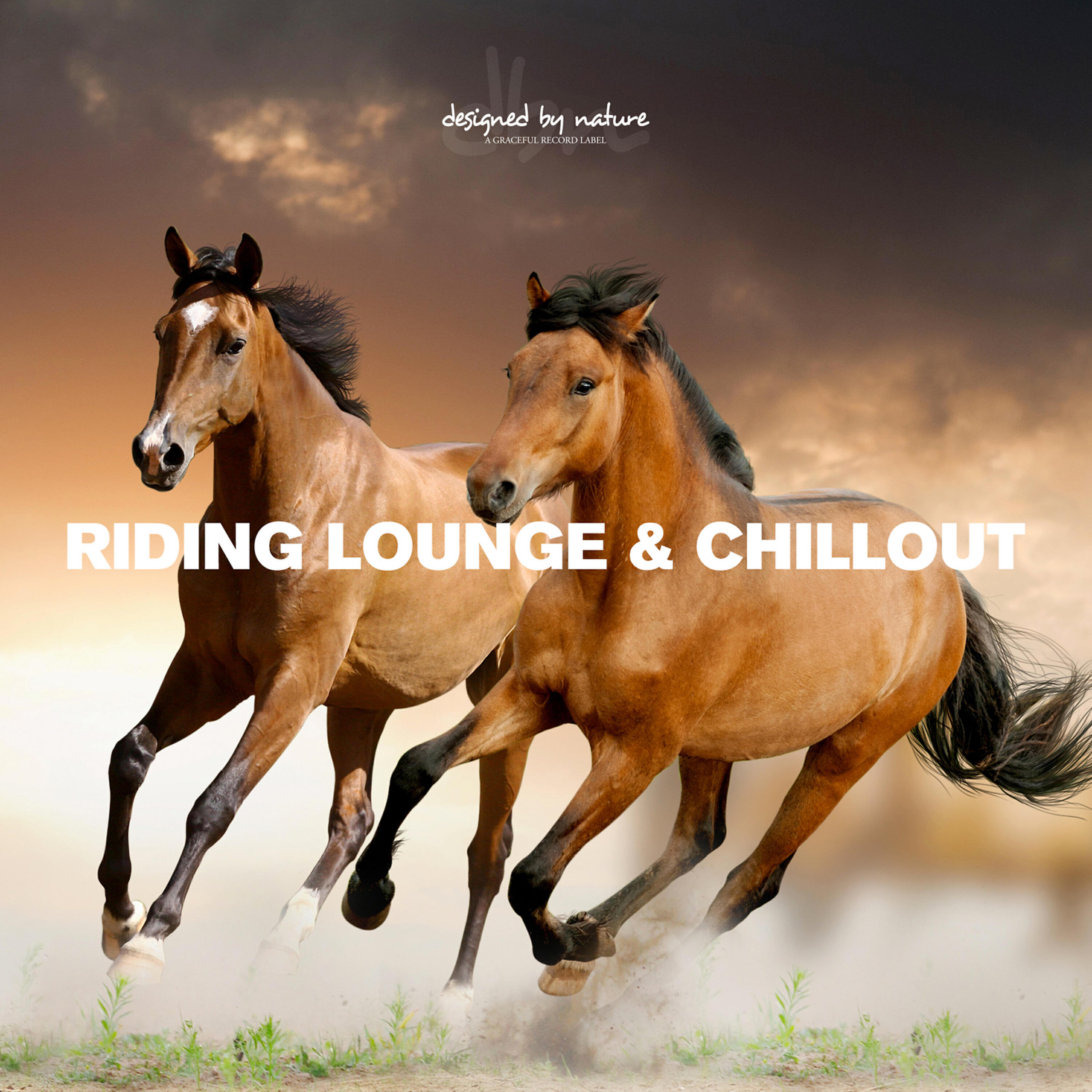 Релиз Riding Lounge & Chillout