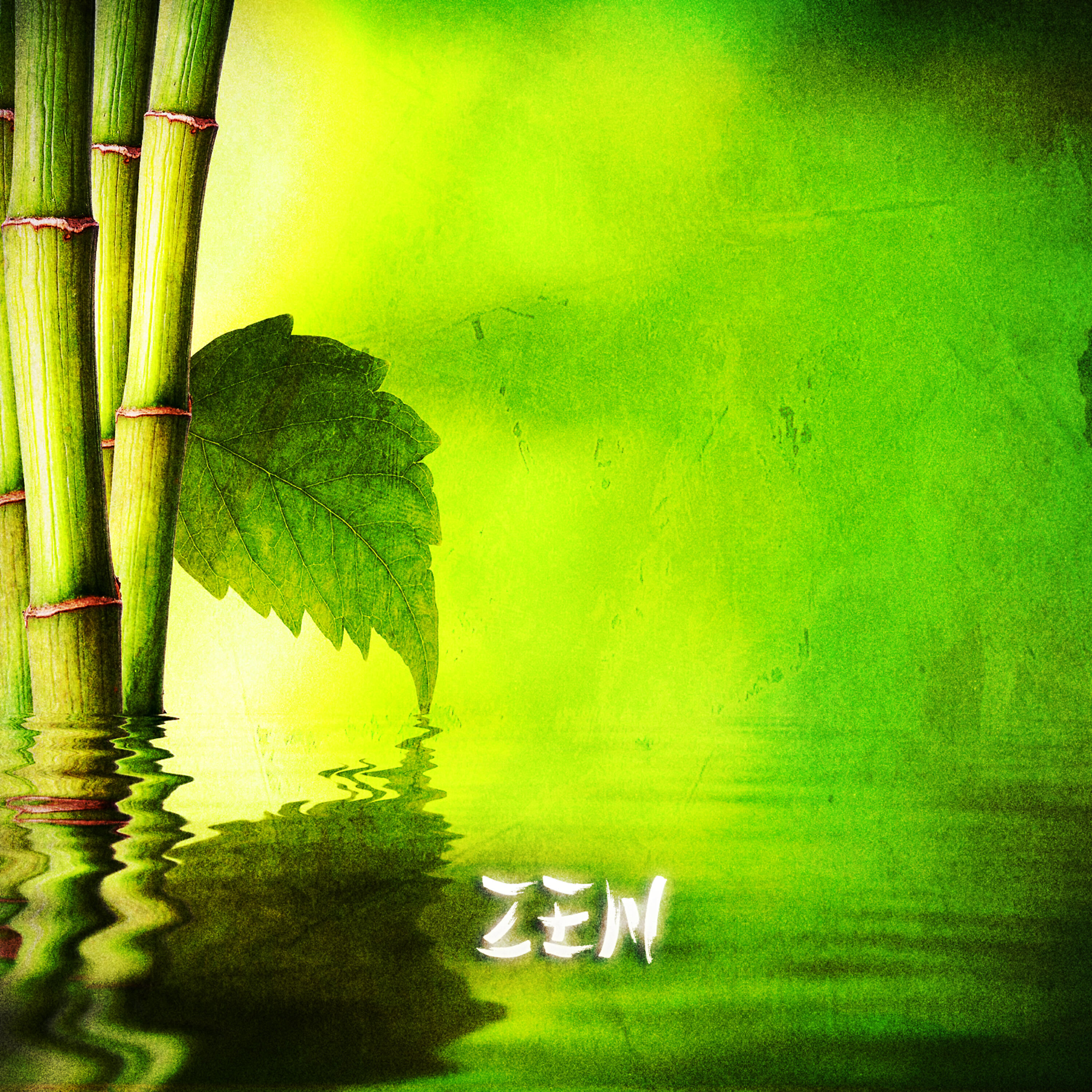 Постер альбома Zen & Relaxation: Zen