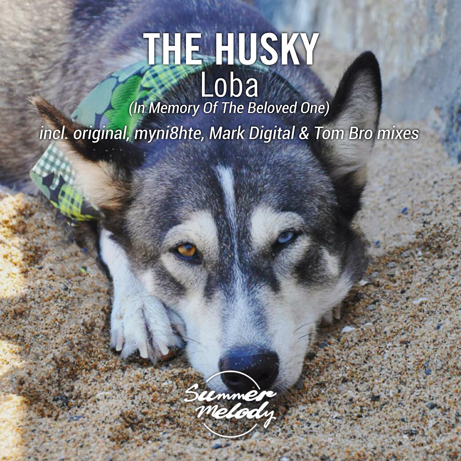 Релиз Loba