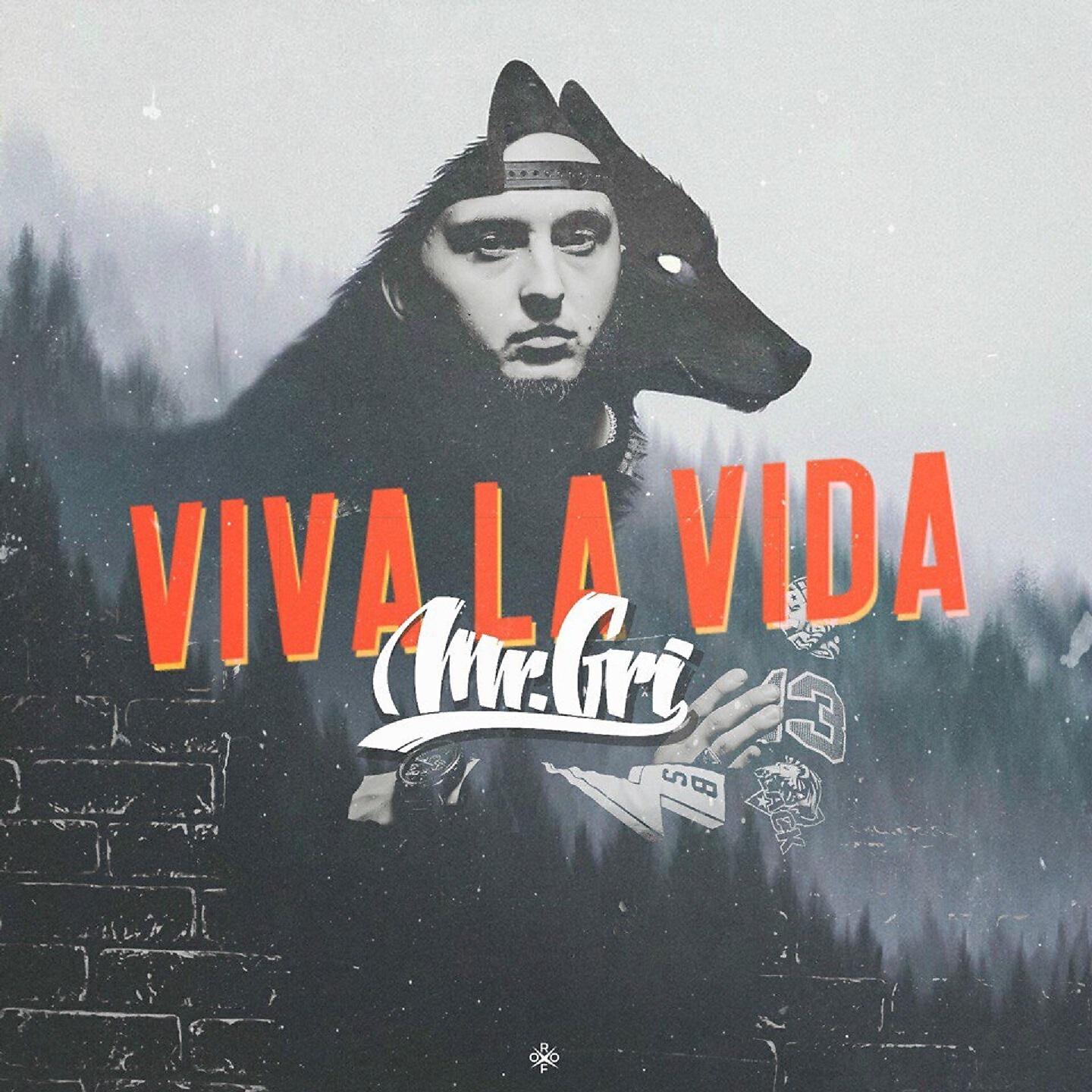 Скачать песню Mr.Gri - Viva la vida бесплатно в MP3 для Android и iOS