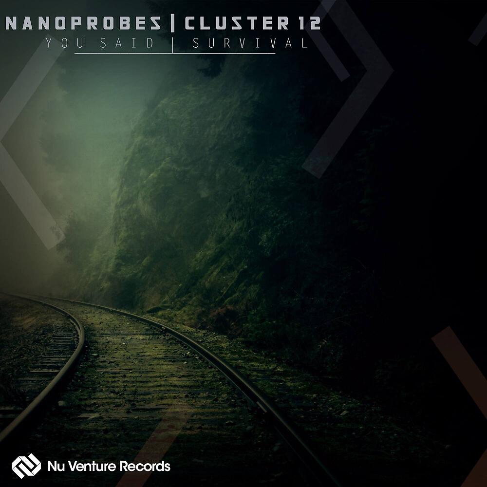 Nanoprobes