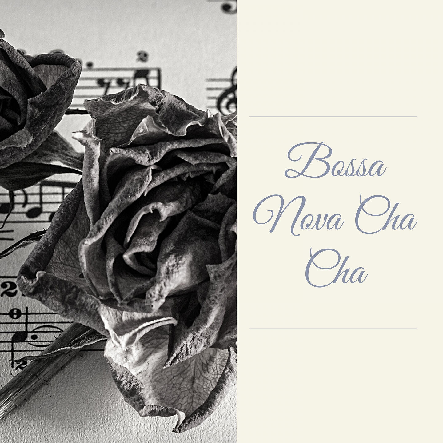 Релиз Bossa Nova Cha Cha
