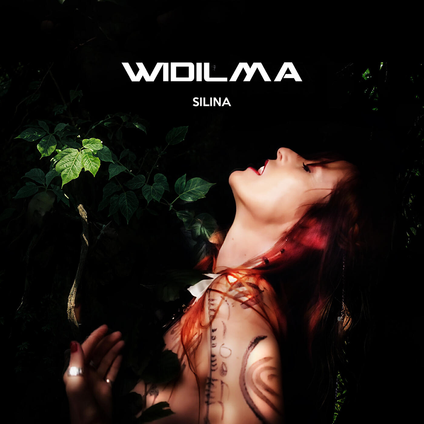 Релиз Silina