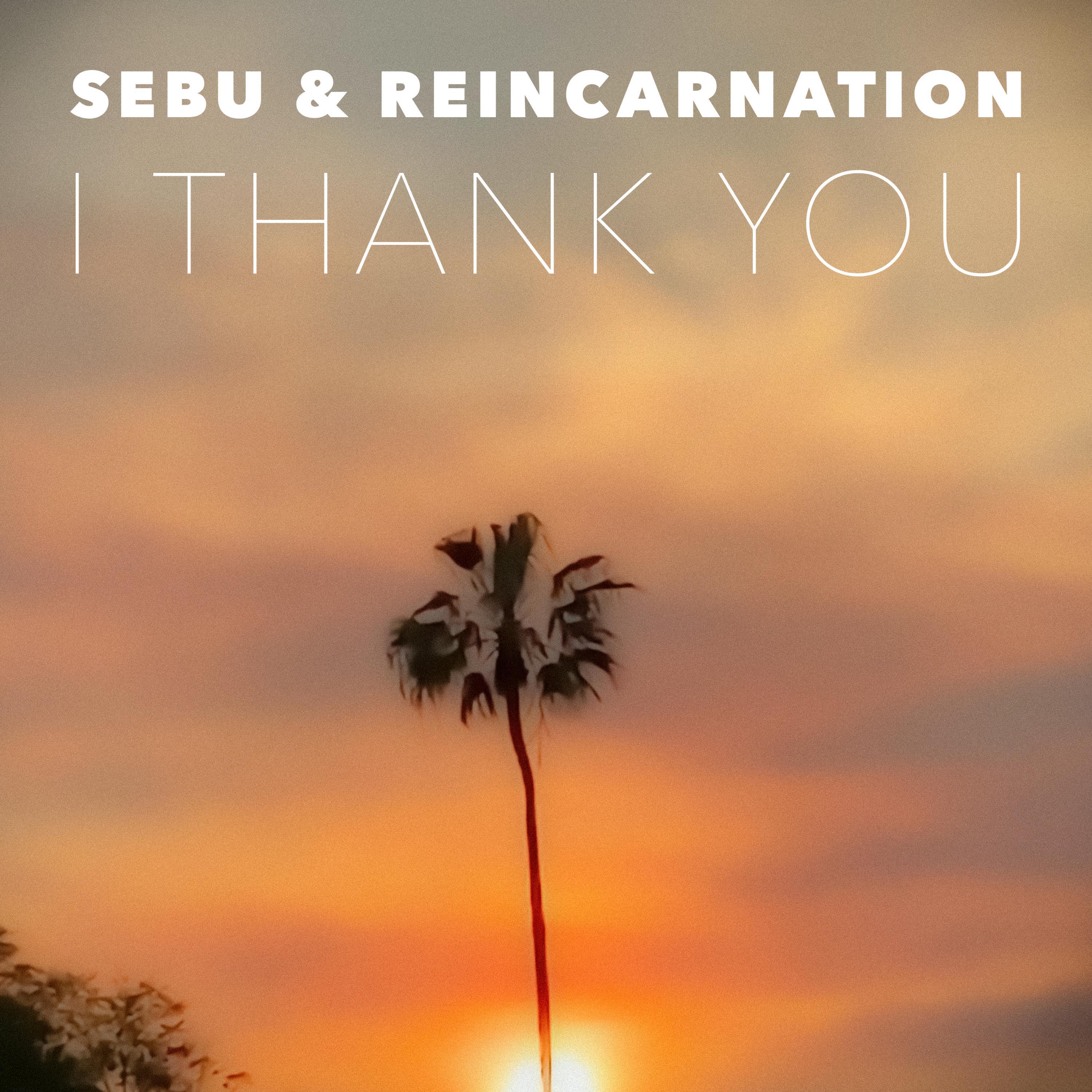 Релиз I Thank You